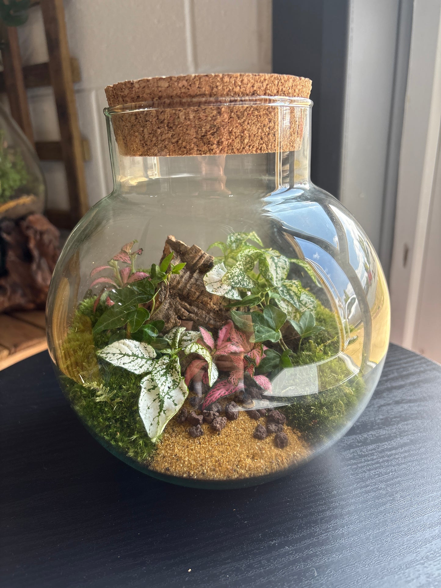 Ready-made Terrarium – George Jar