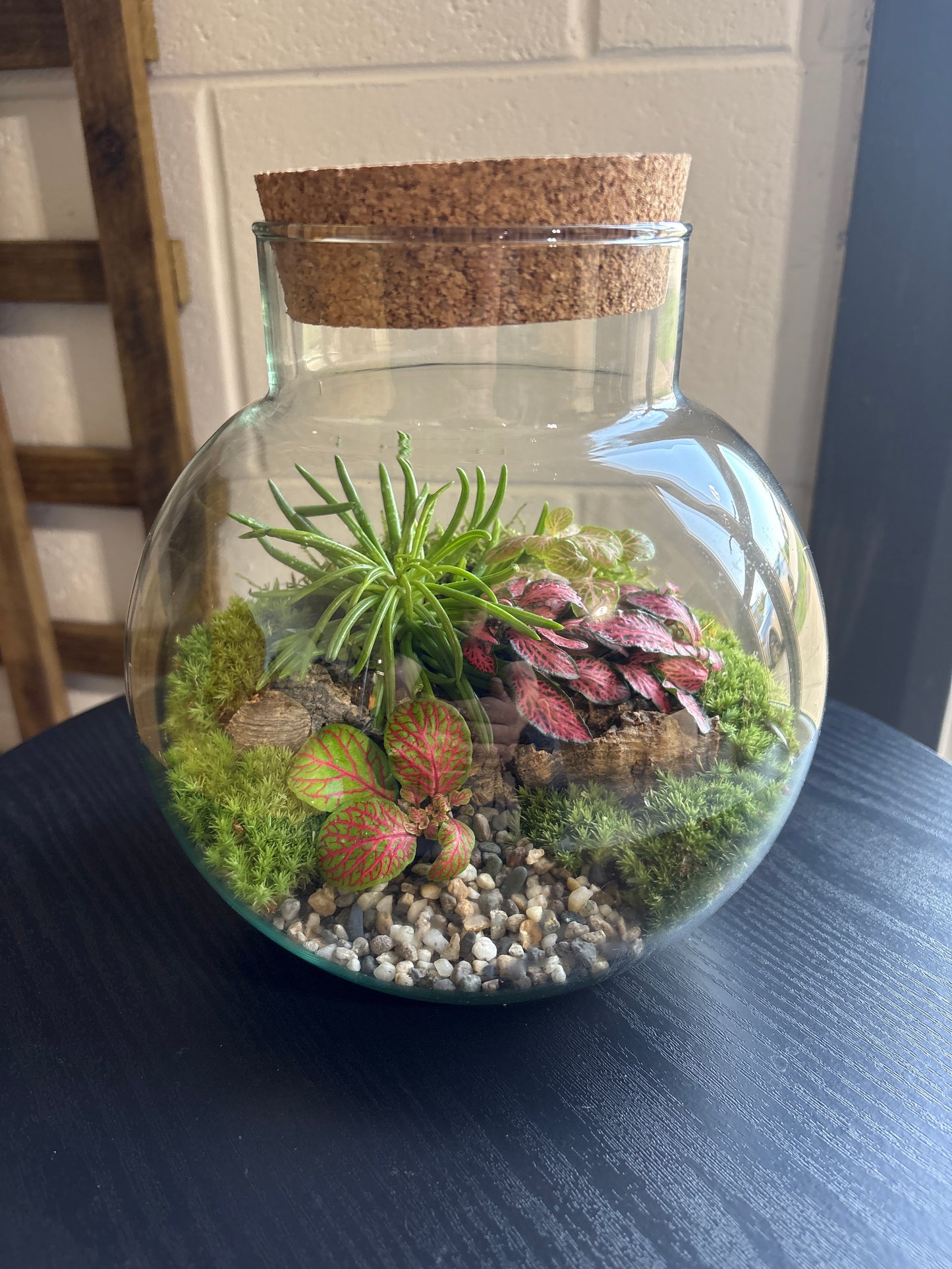 Ready-made Terrarium – George Jar