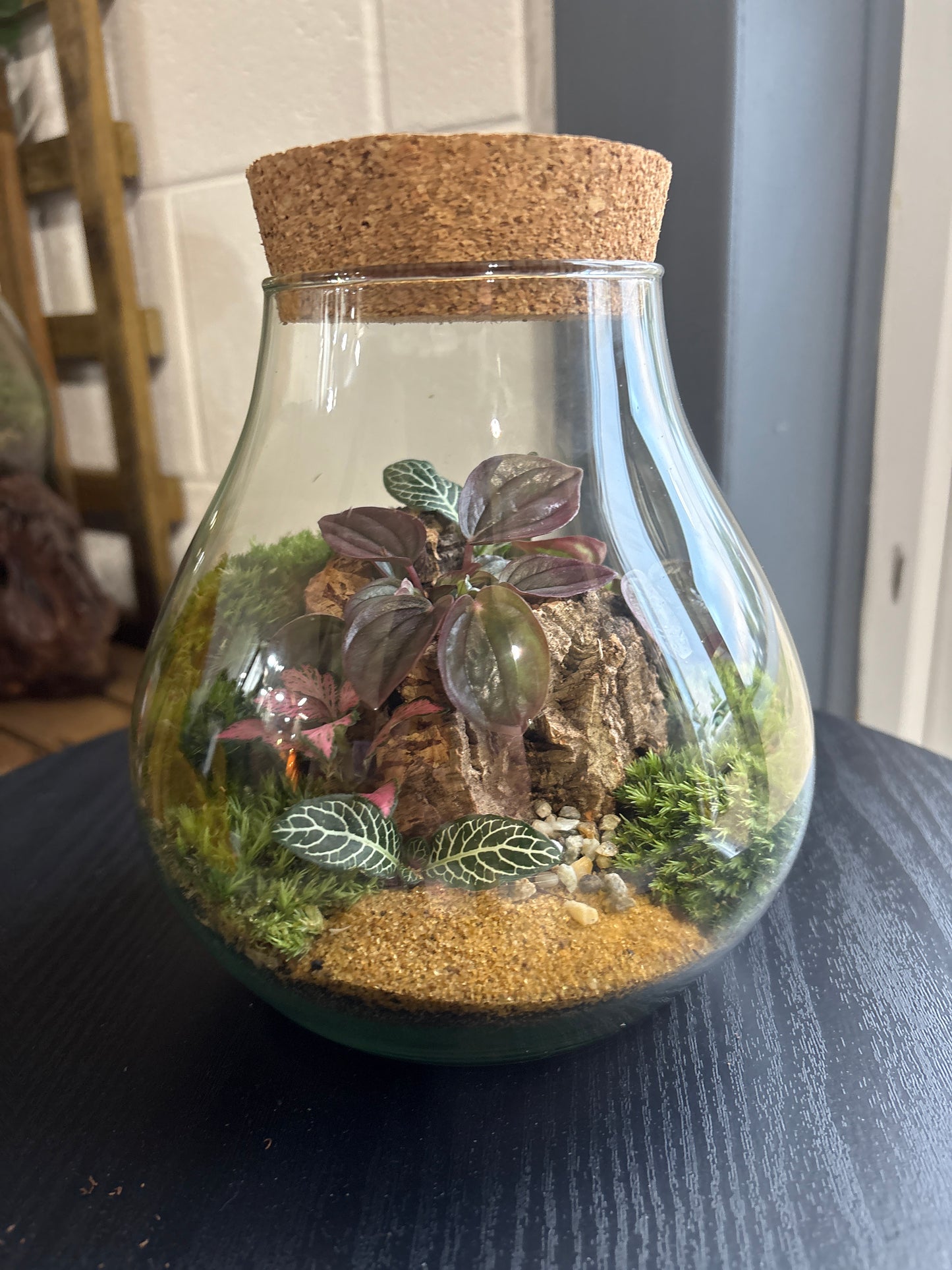 Ready-made Terrarium – Fran Jar
