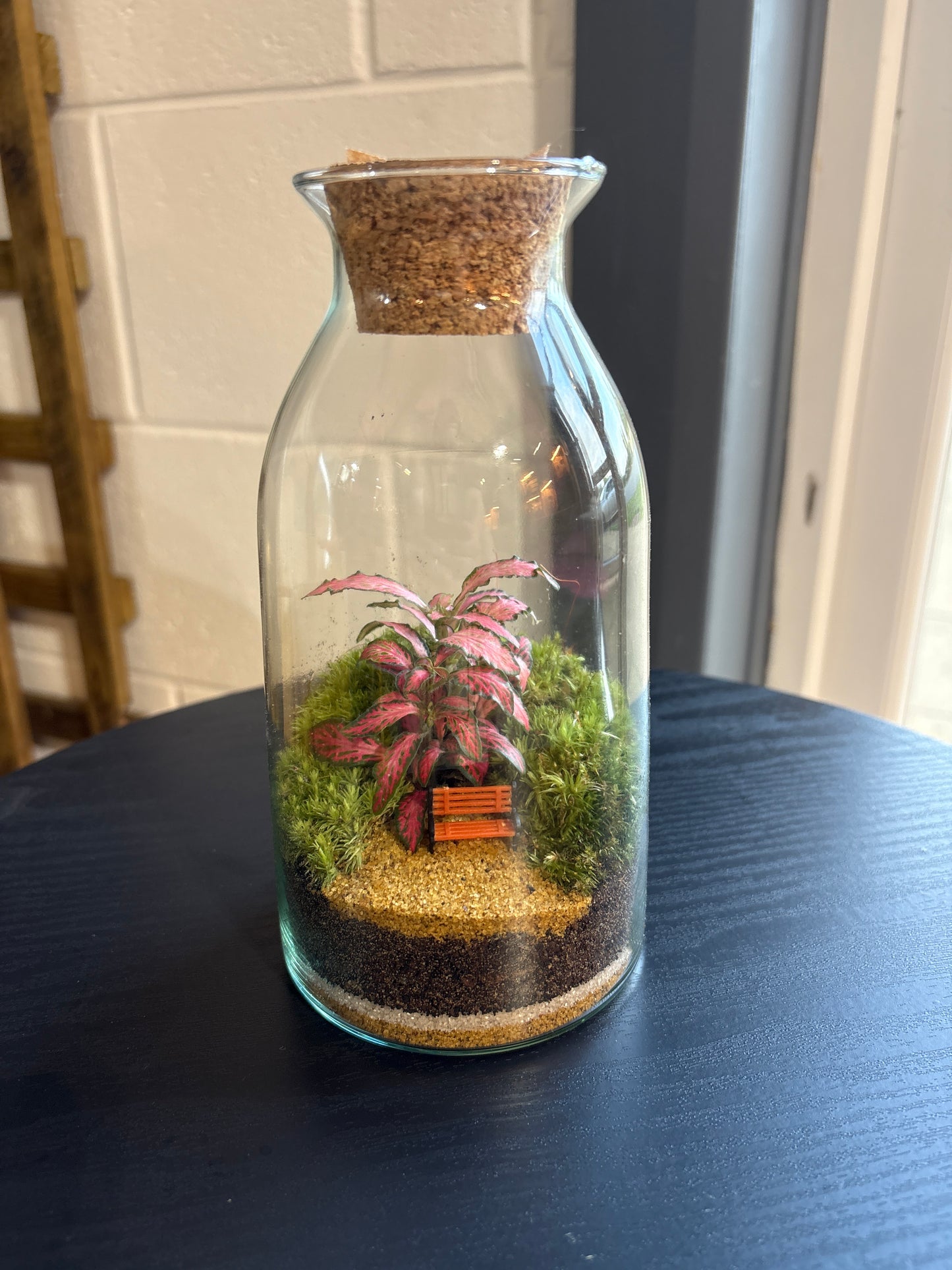 Ready-made Terrarium – Chloe Jar