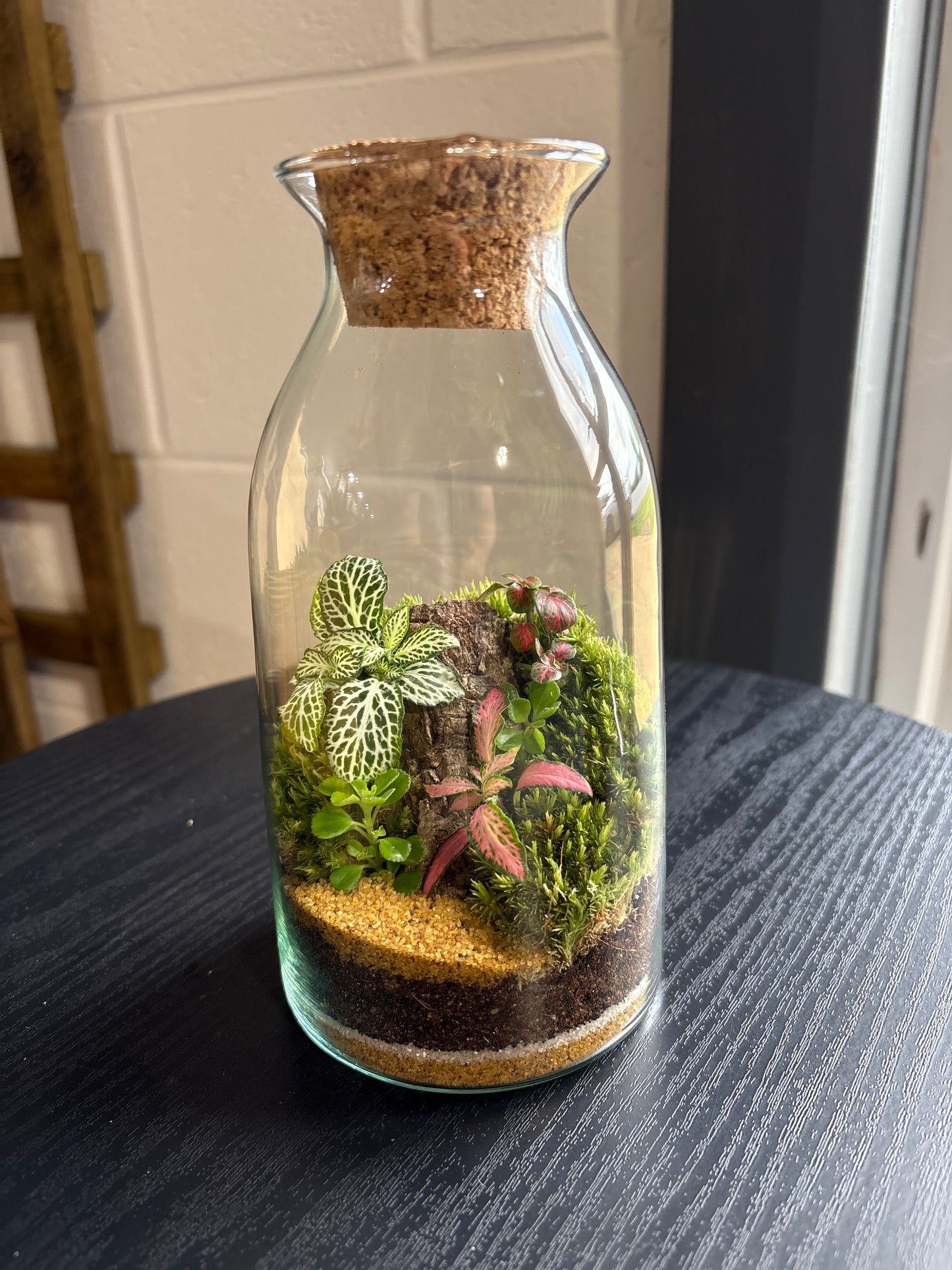Ready-made Terrarium – Chloe Jar
