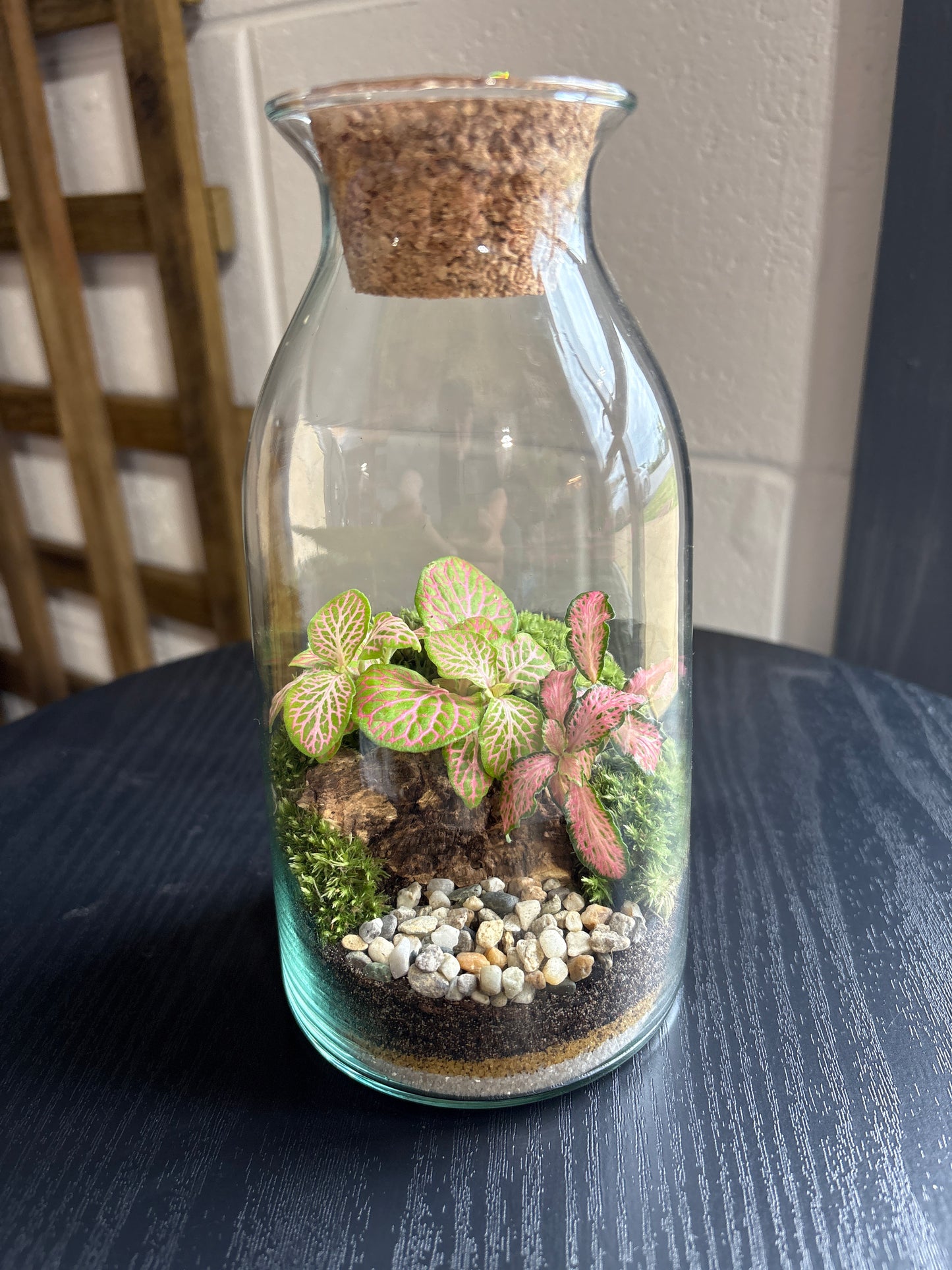 Ready-made Terrarium – Chloe Jar