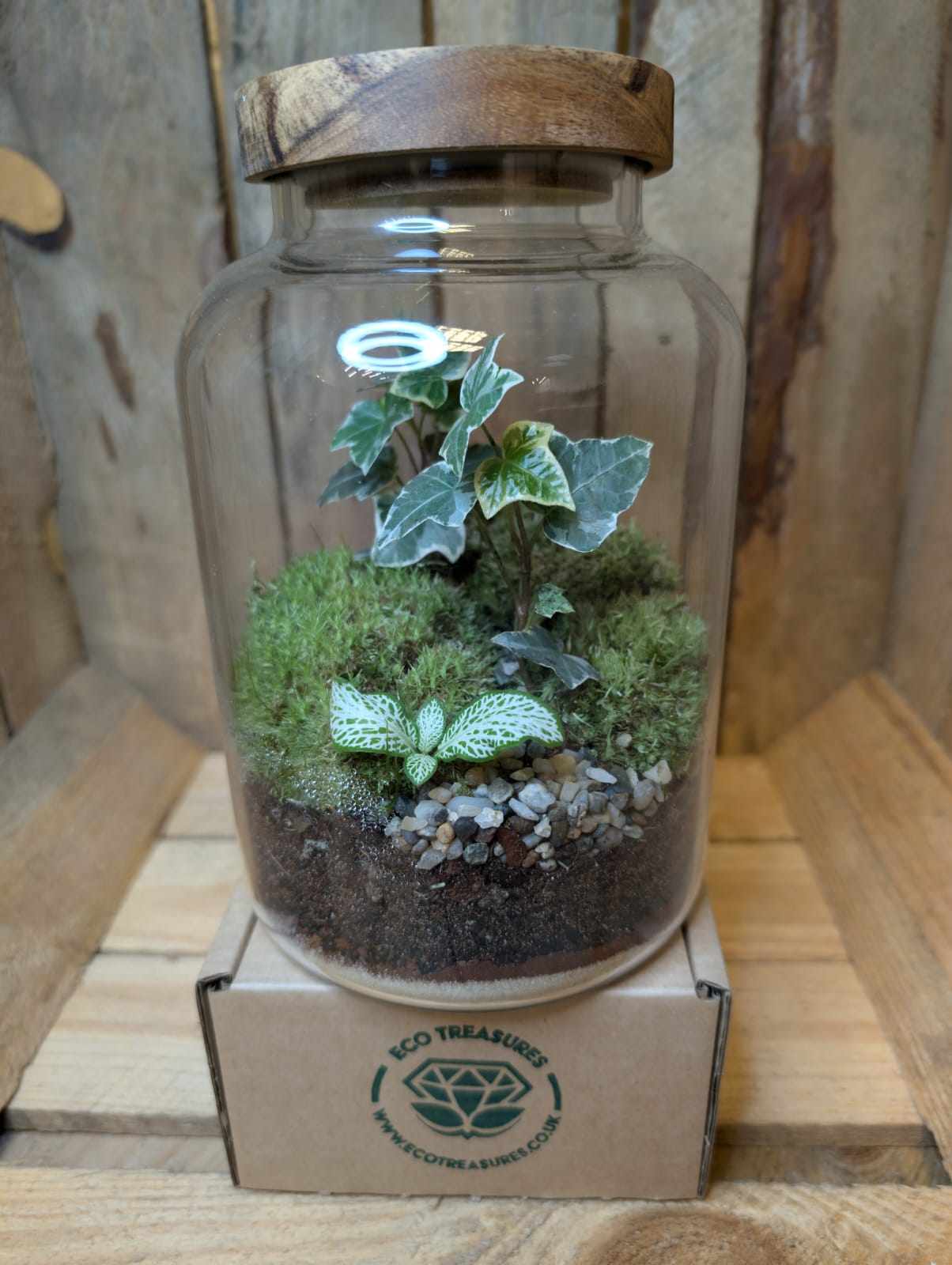Medium Ready-made Terrarium - 'Isabel'