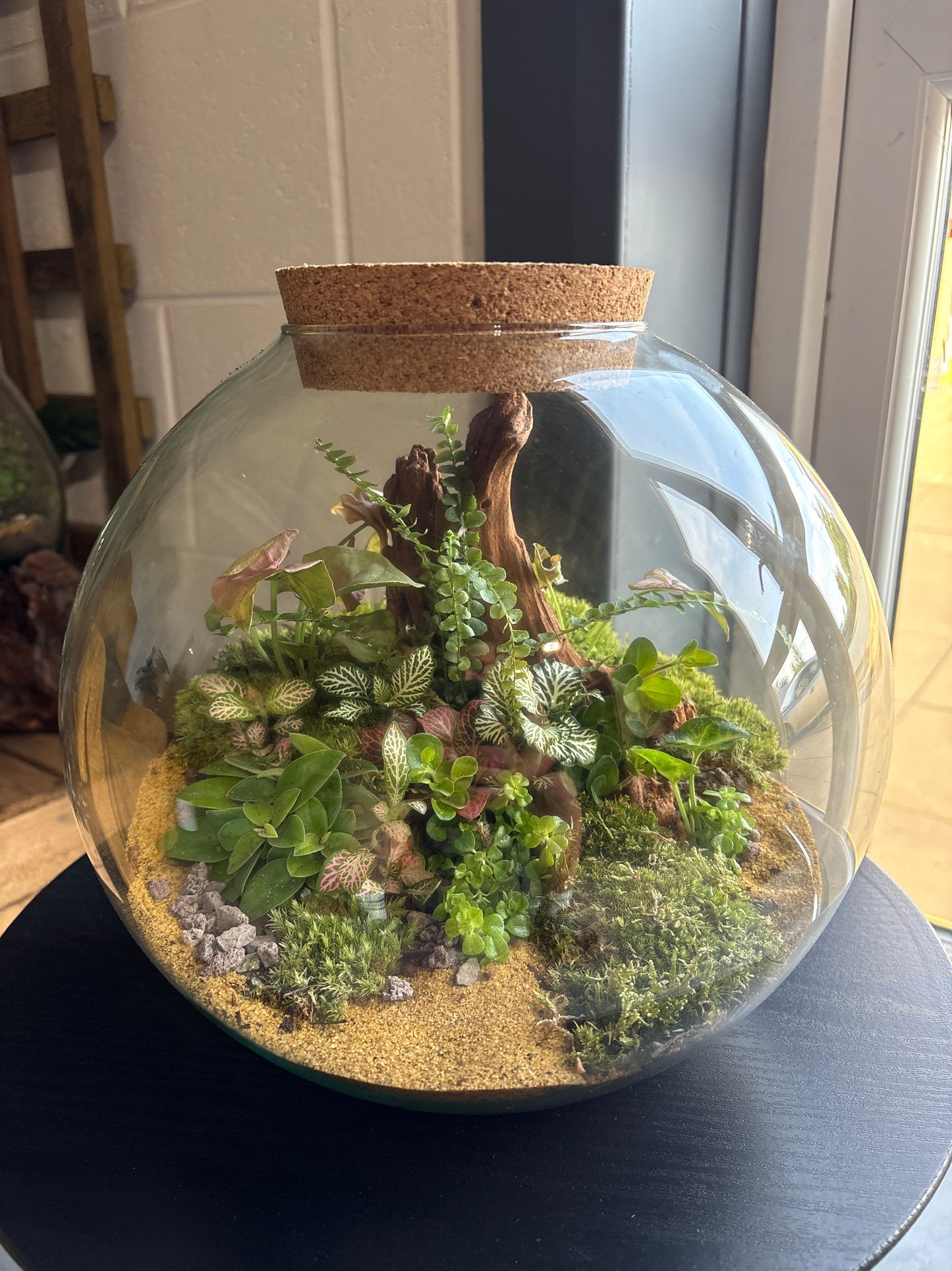 Ready-made Terrarium – Sarah