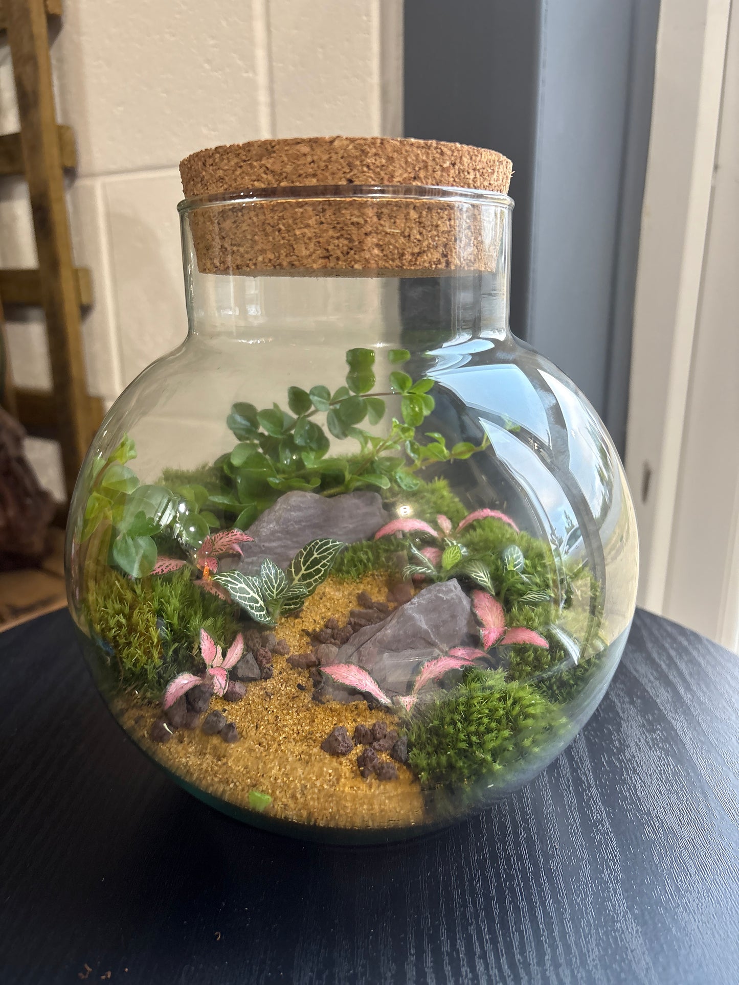 Ready-made Terrarium – George Jar