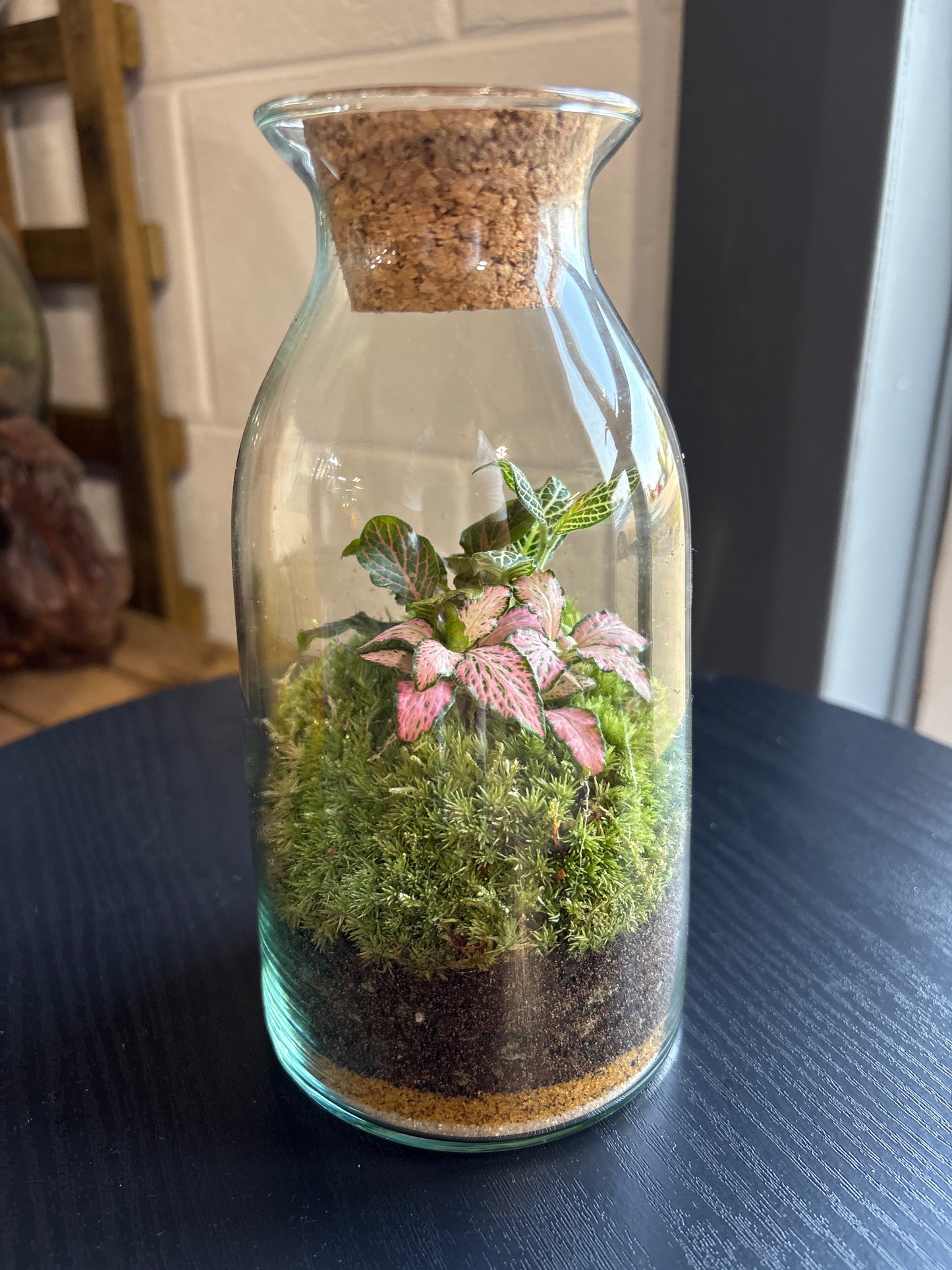 Ready-made Terrarium – Chloe Jar