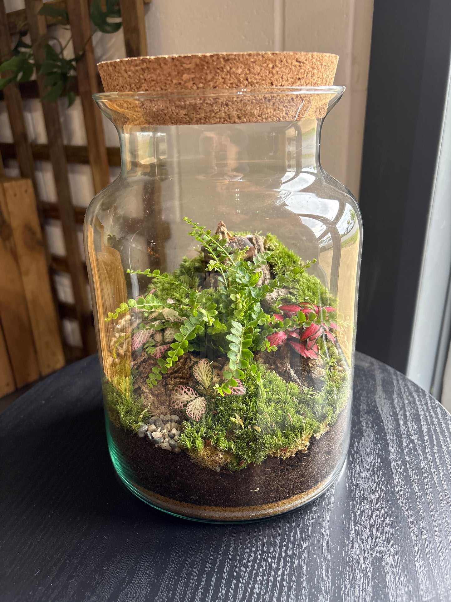 Ready-made Terrarium – Unique Jar