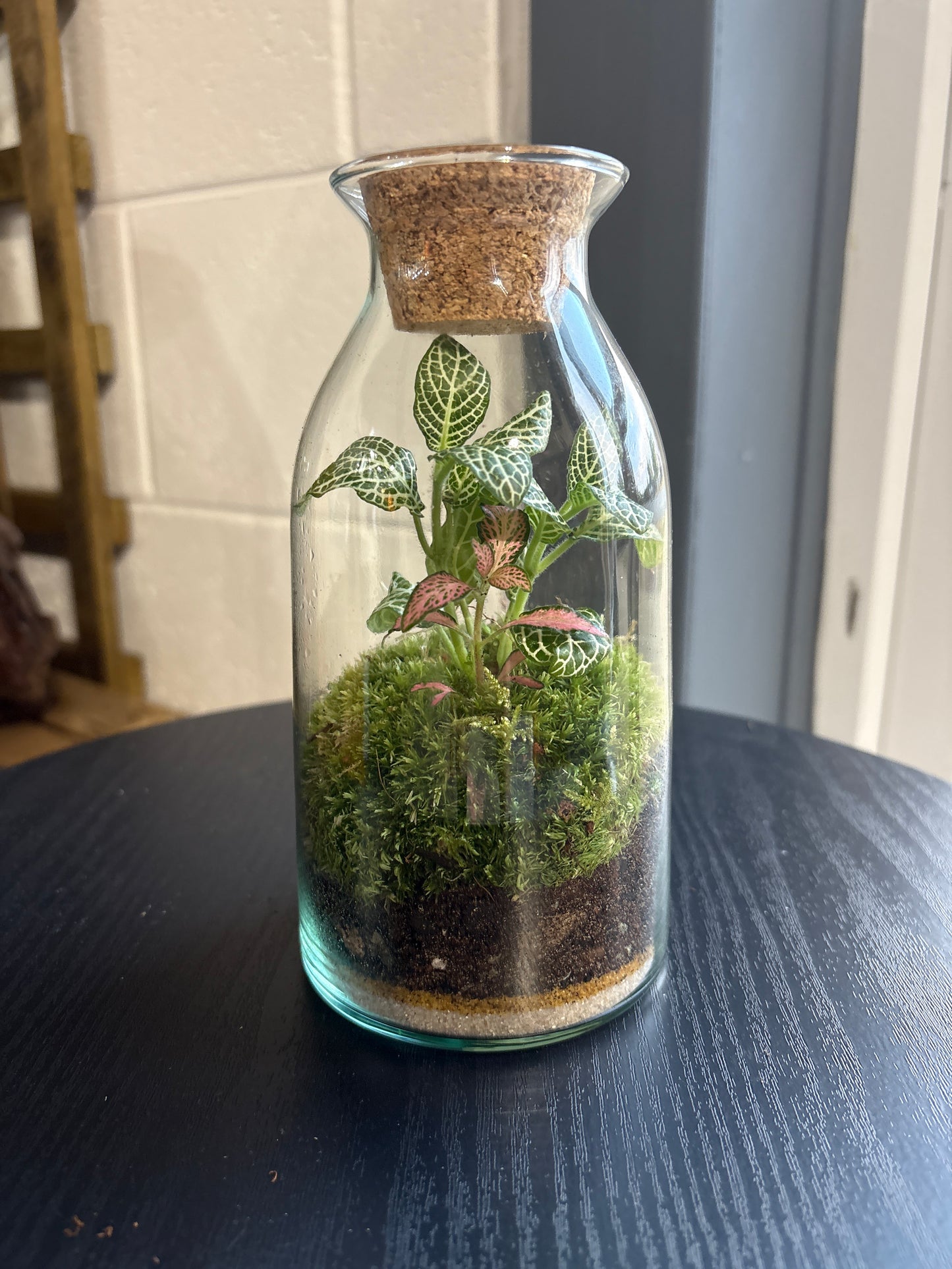 Ready-made Terrarium – Chloe Jar