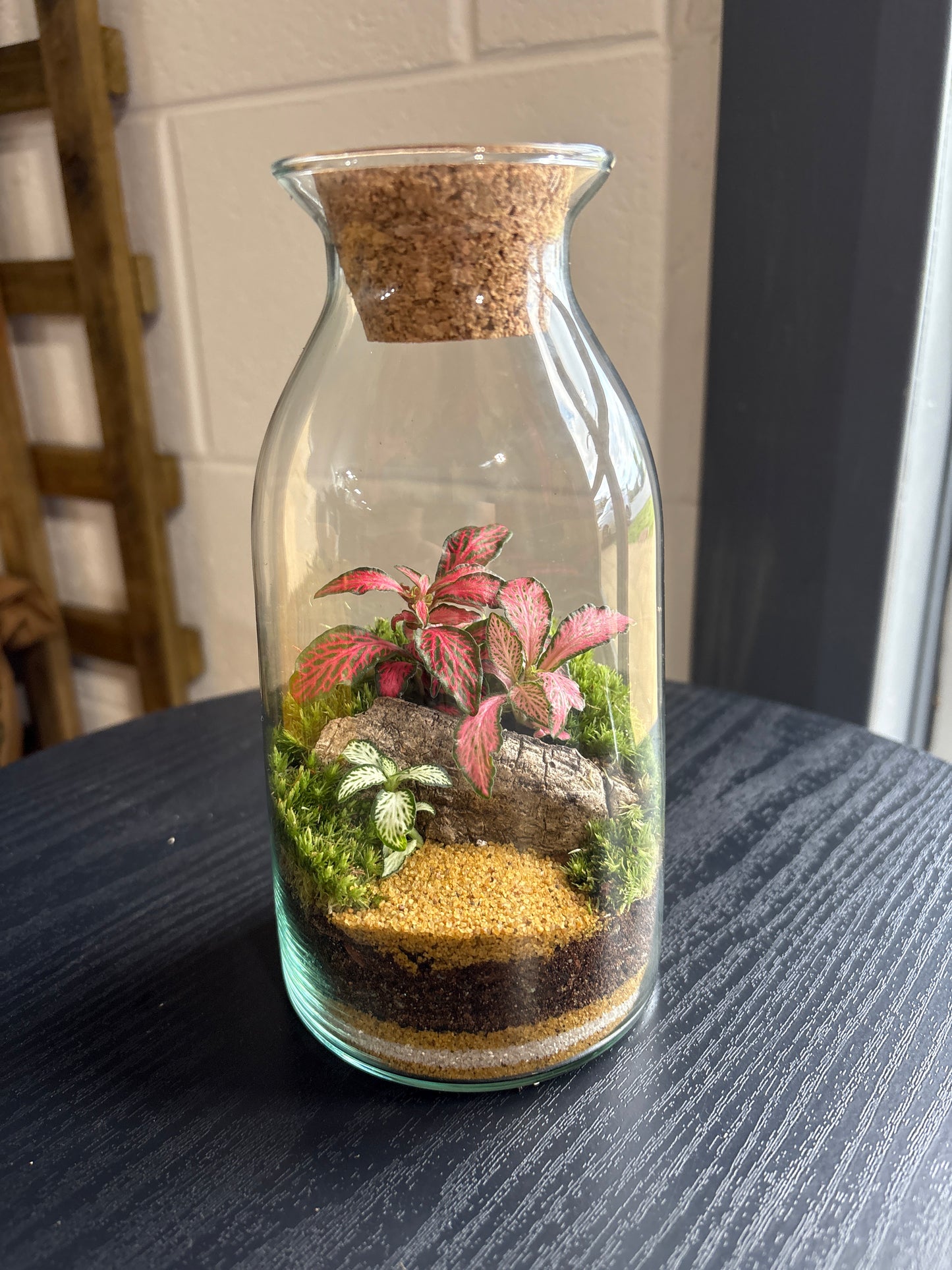 Ready-made Terrarium – Chloe Jar