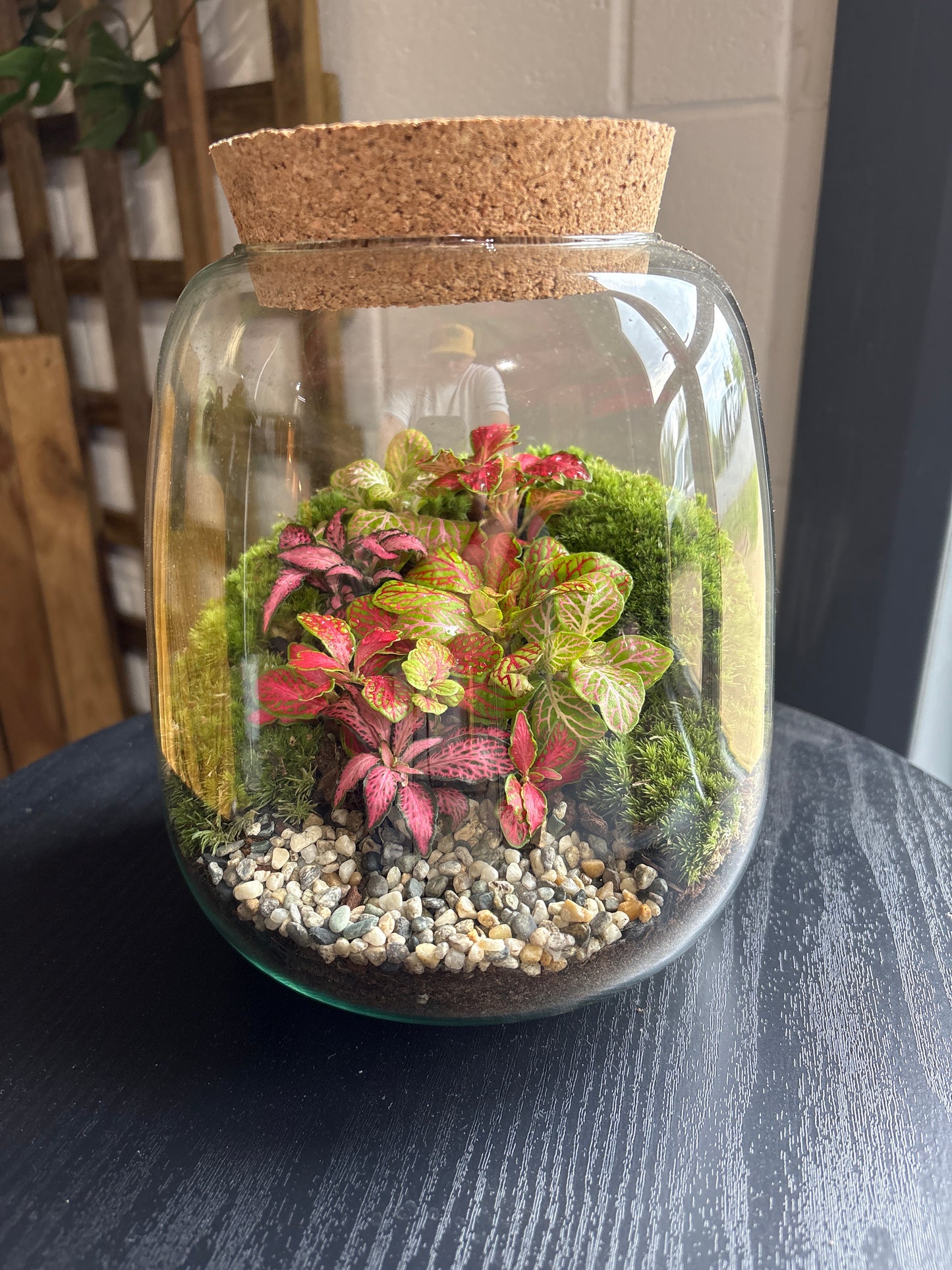 Ready-made Terrarium – Anna Jar