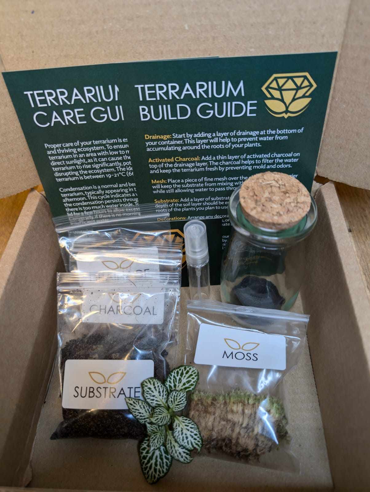 DIY Terrarium Kit - Mini Milk