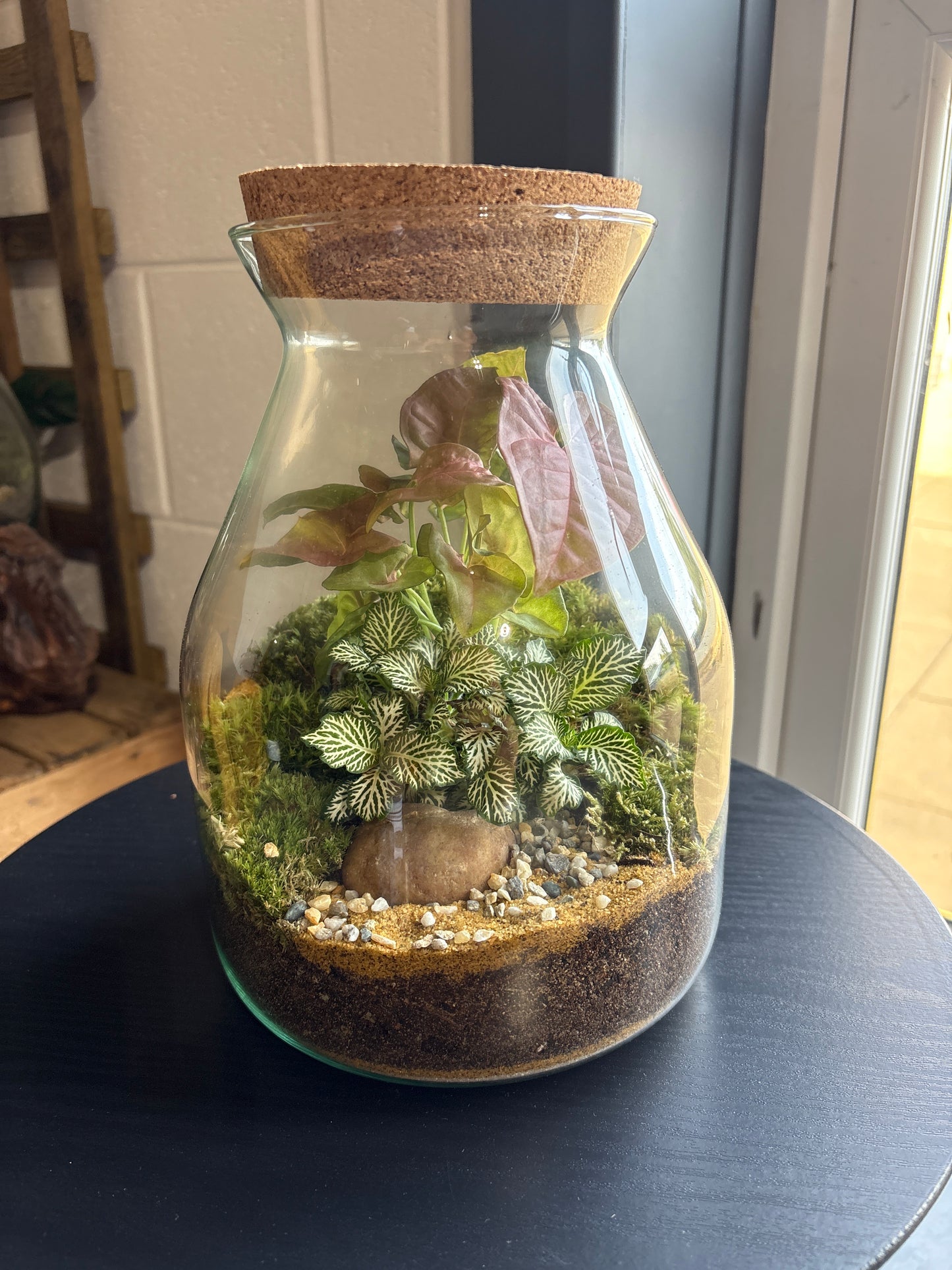 Ready-made Terrarium – Jamie Jar