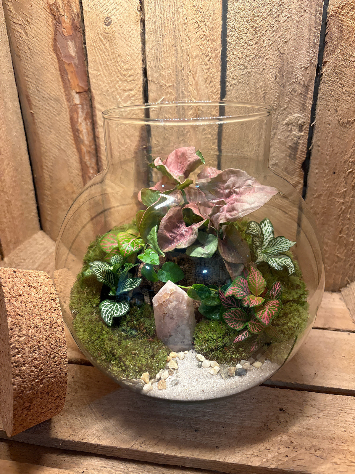 Ready-made Terrarium – George Jar