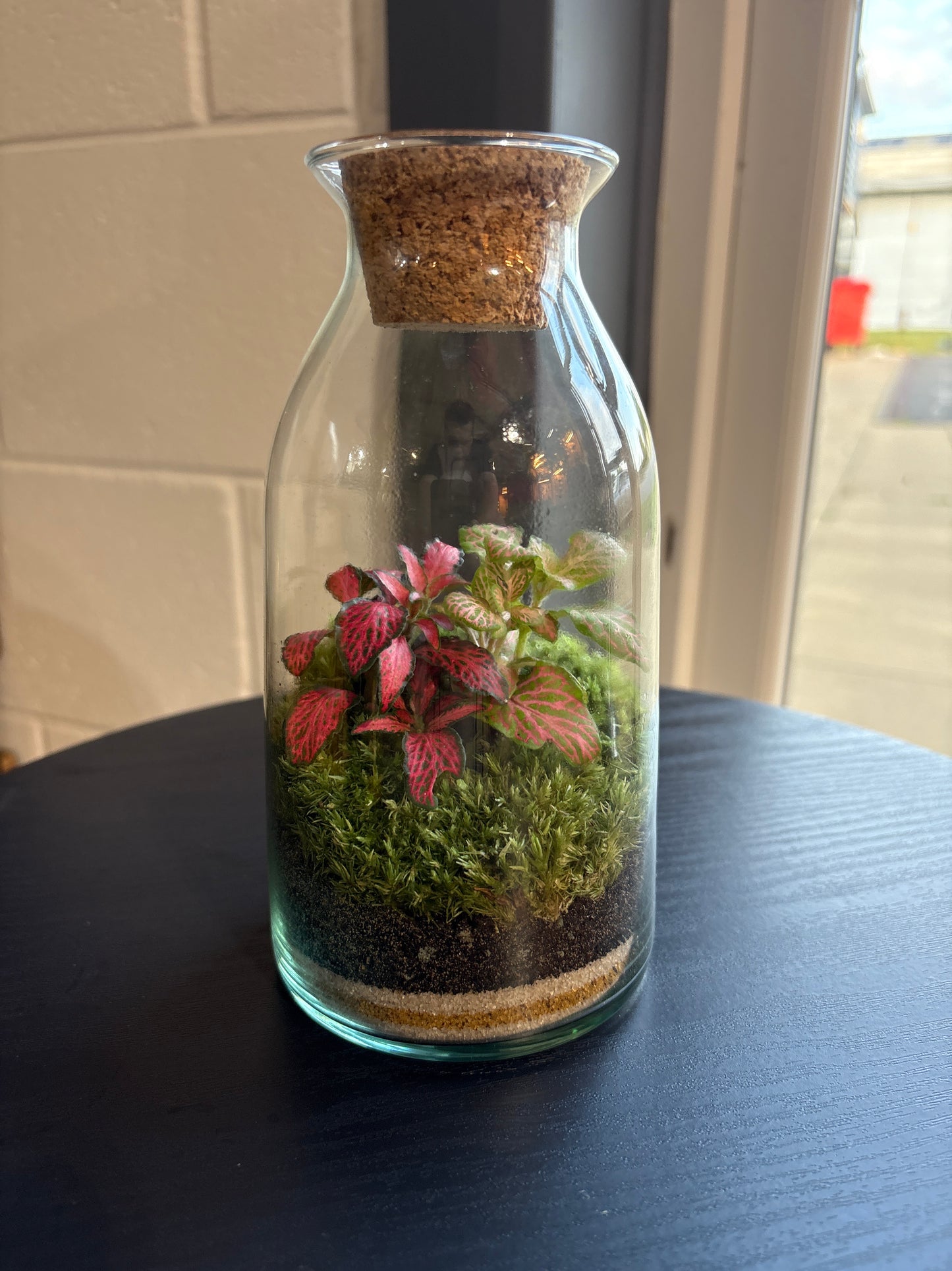 Ready-made Terrarium – Chloe Jar