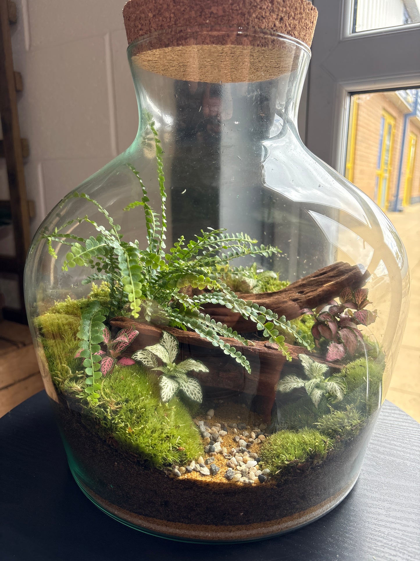 Ready-made Terrarium – Matthew Jar