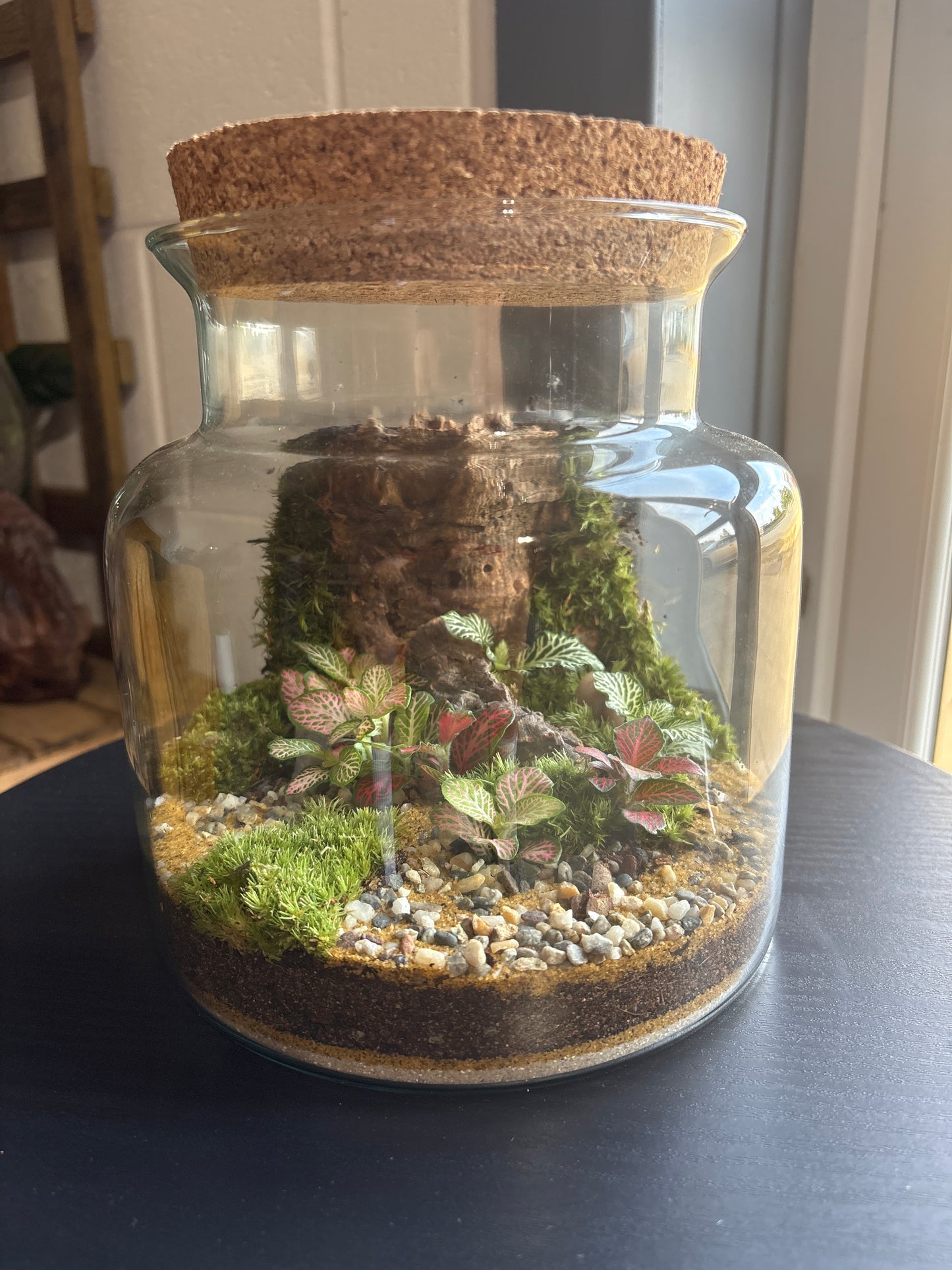 Ready-made Terrarium – Paige