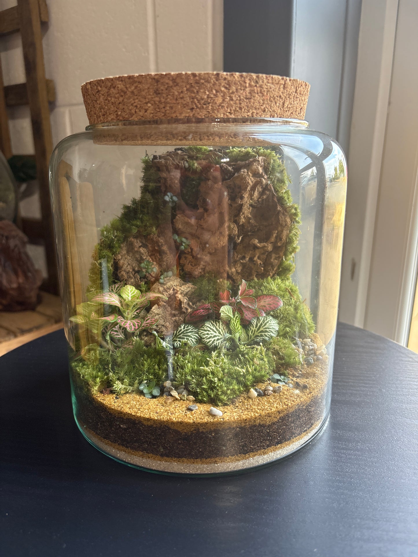 Ready-made Terrarium – Katie