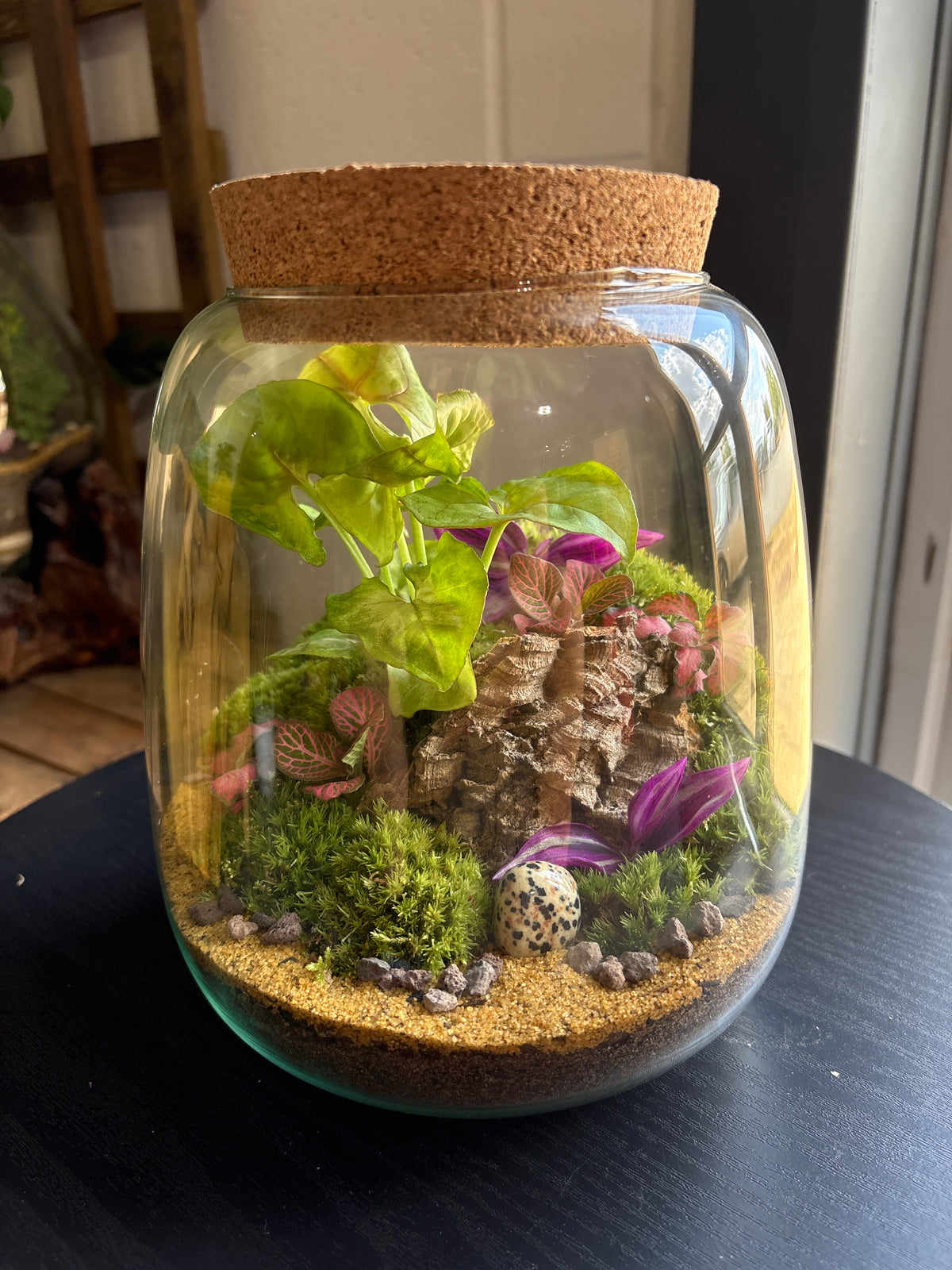 Ready-made Terrarium – Anna Jar