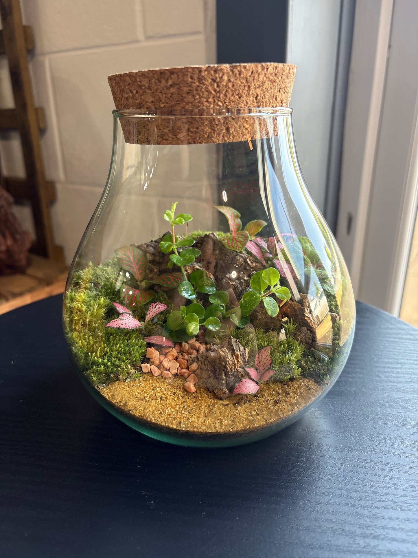 Ready-made Terrarium – Fran Jar