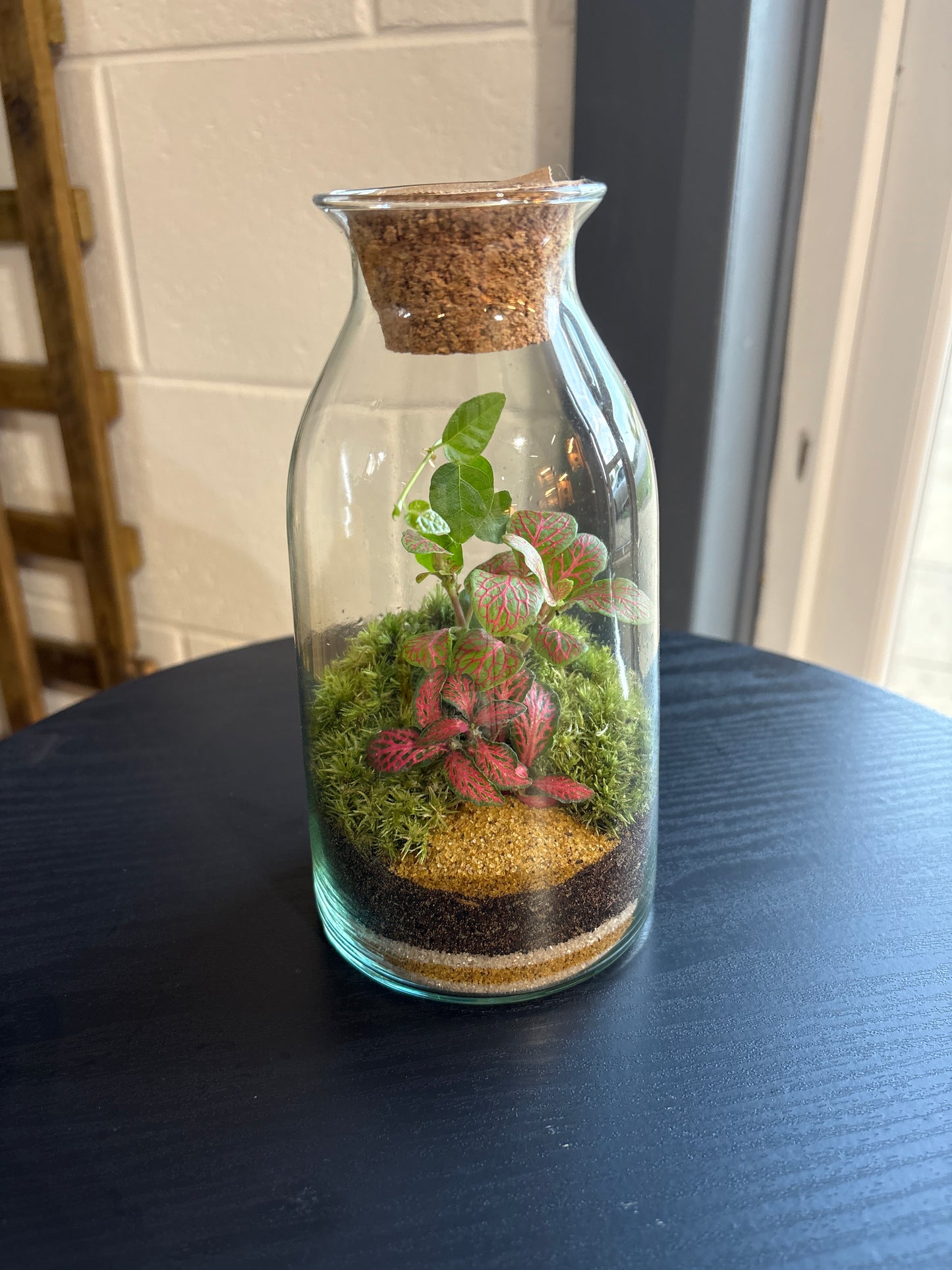 Ready-made Terrarium – Chloe Jar