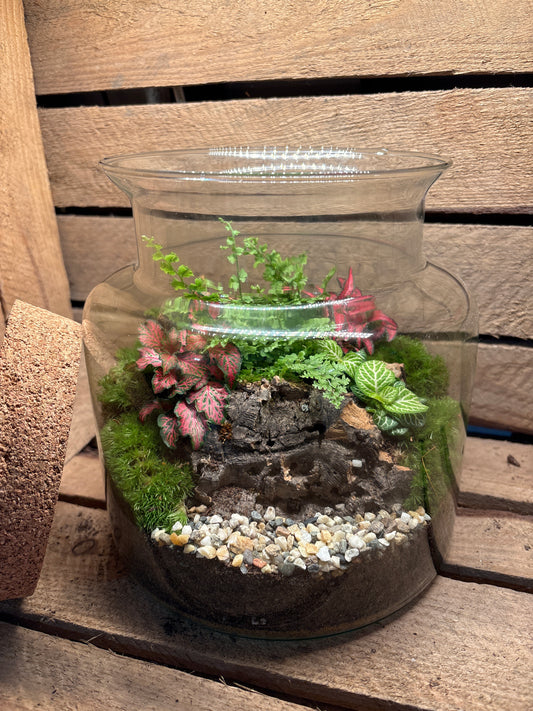 Ready-made Terrarium – Paige