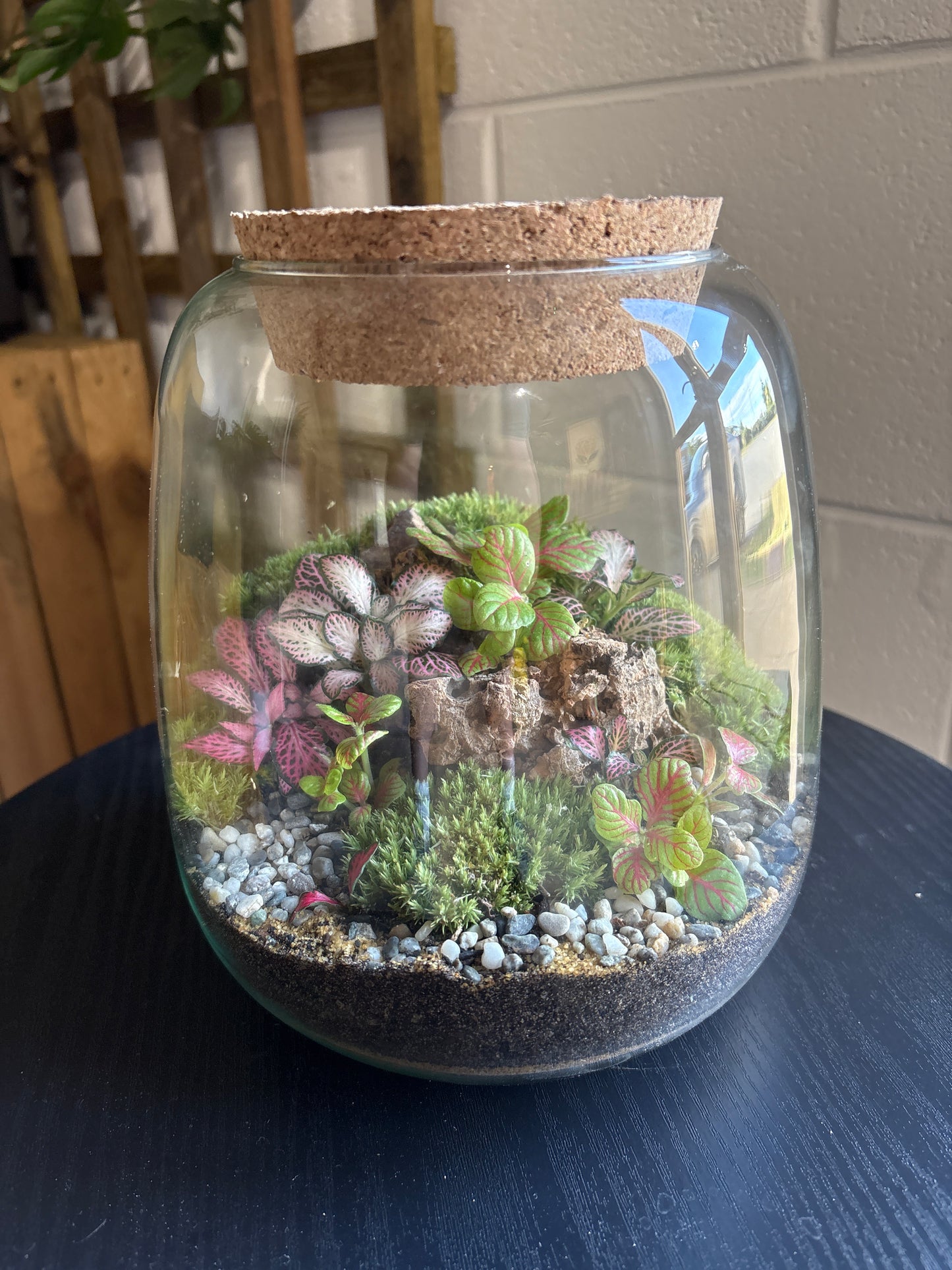 Ready-made Terrarium – Anna Jar
