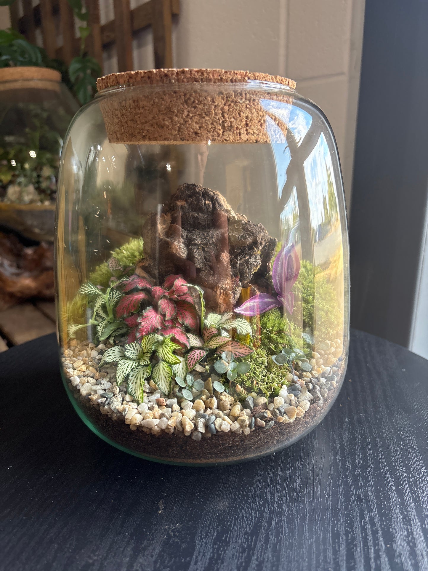 Ready-made Terrarium – Anna Jar
