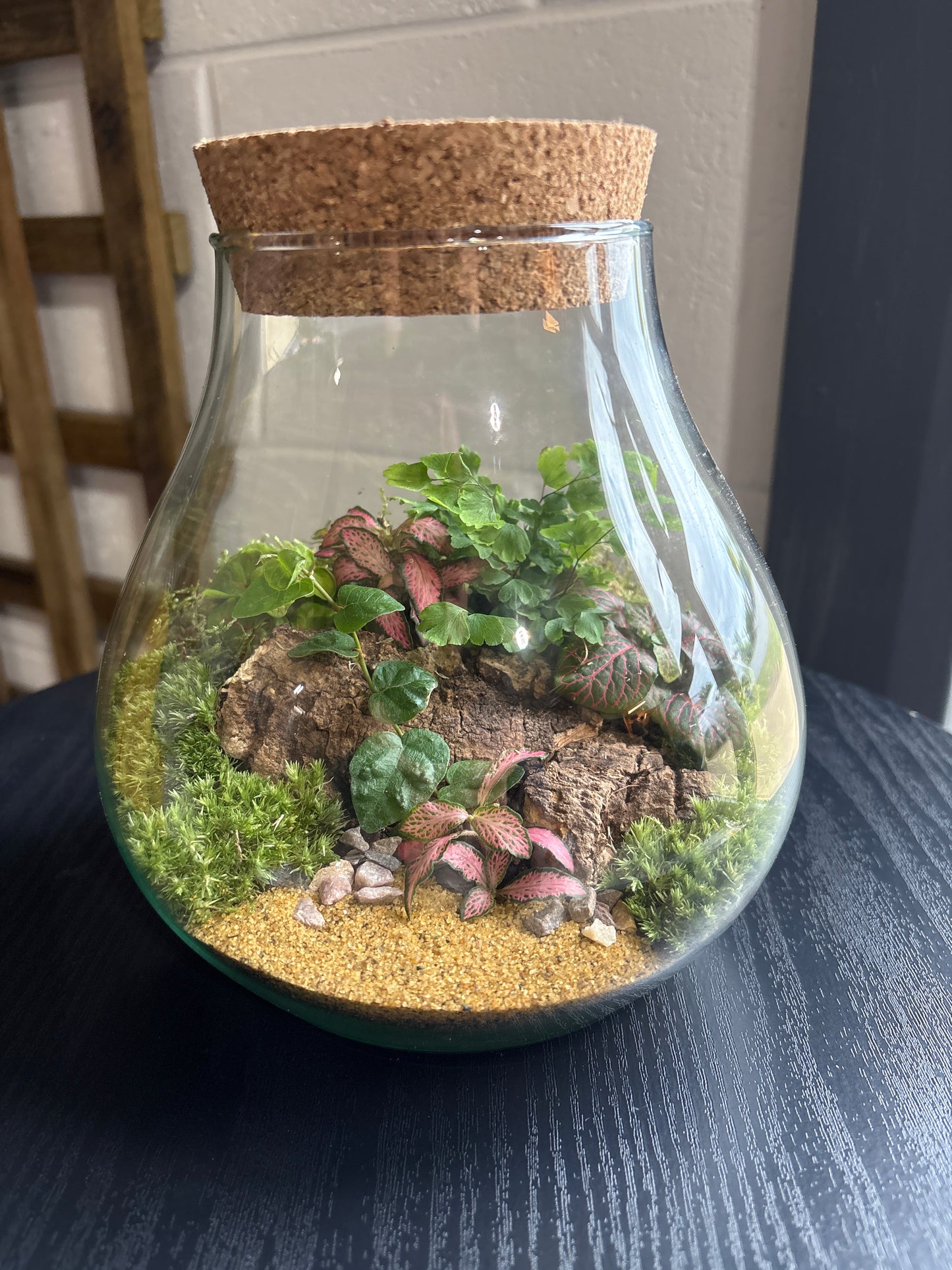 Ready-made Terrarium – Fran Jar