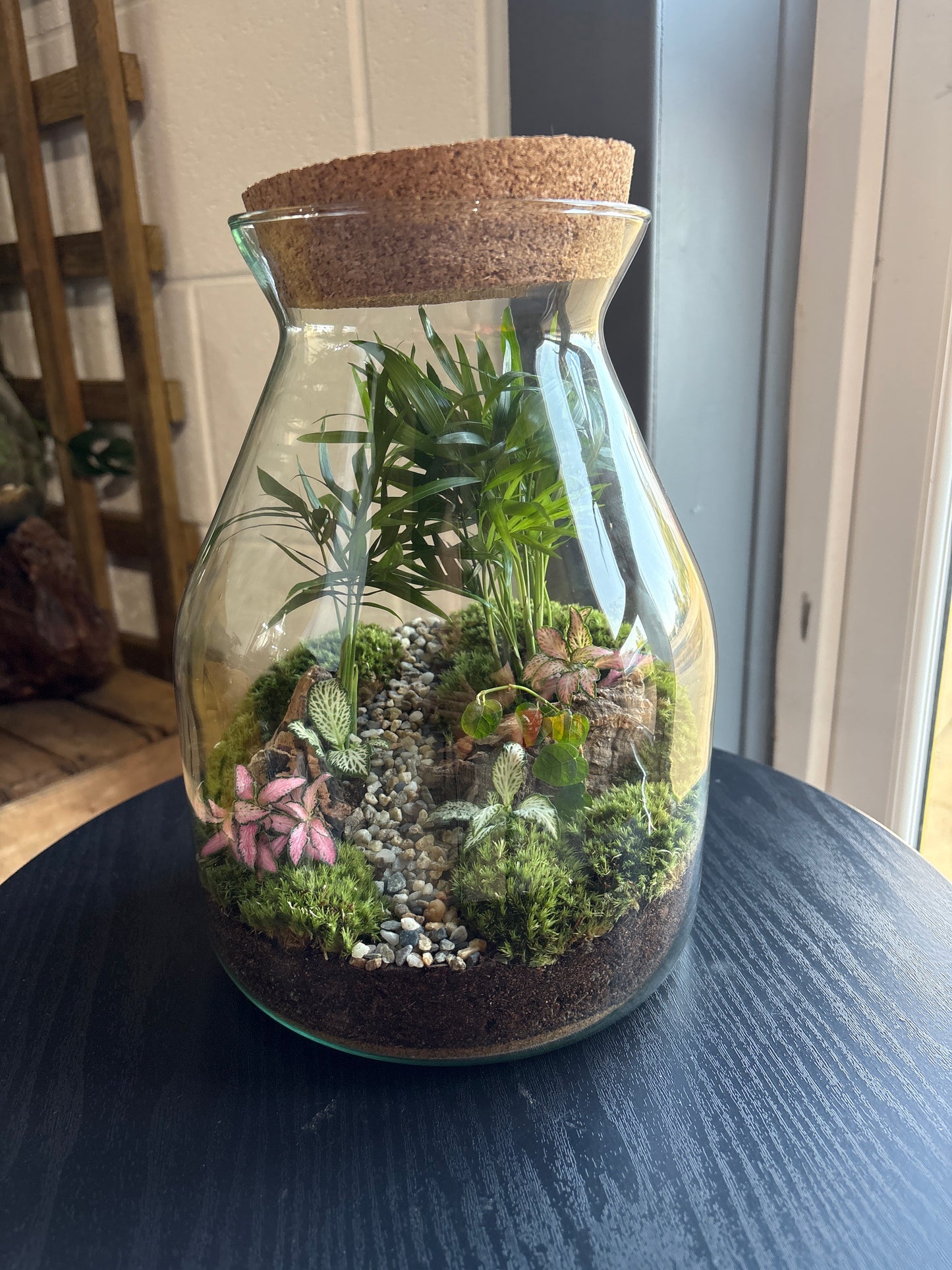Ready-made Terrarium – Jamie Jar