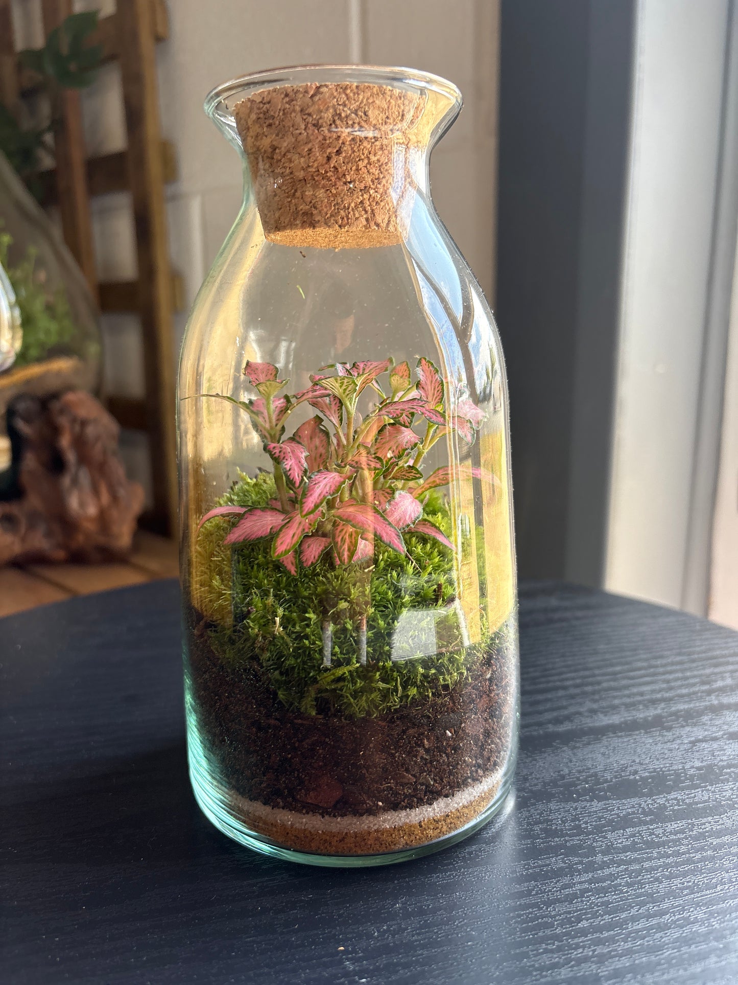 Ready-made Terrarium – Chloe Jar
