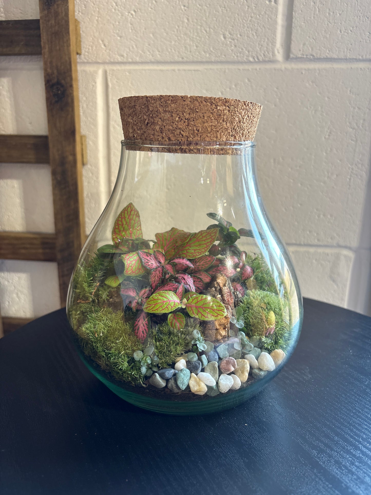 Ready-made Terrarium – Fran Jar