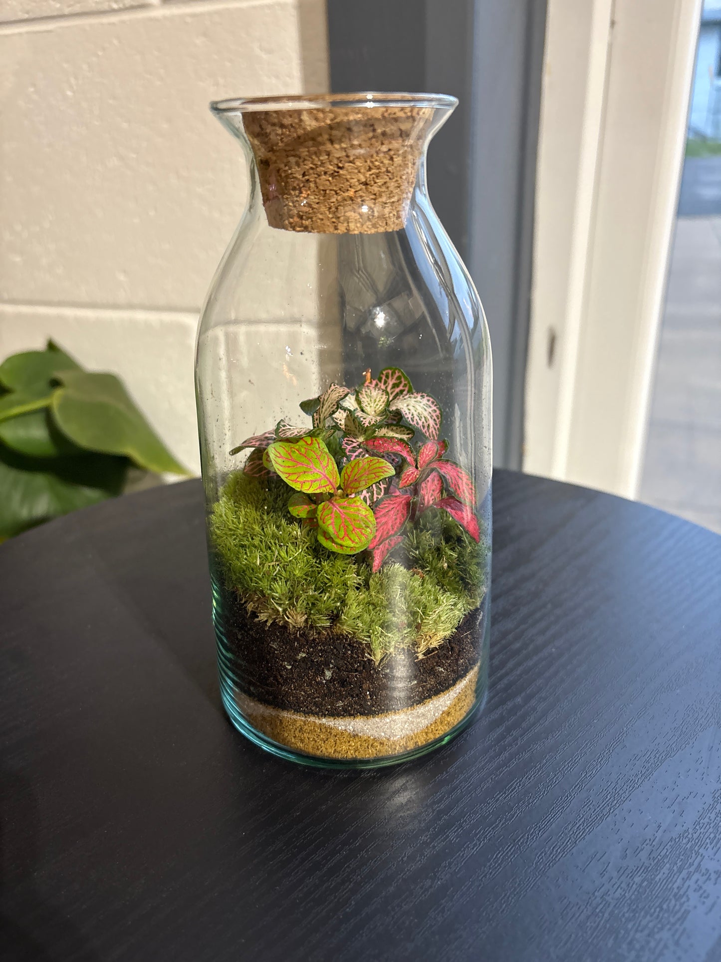 Ready-made Terrarium – Chloe Jar