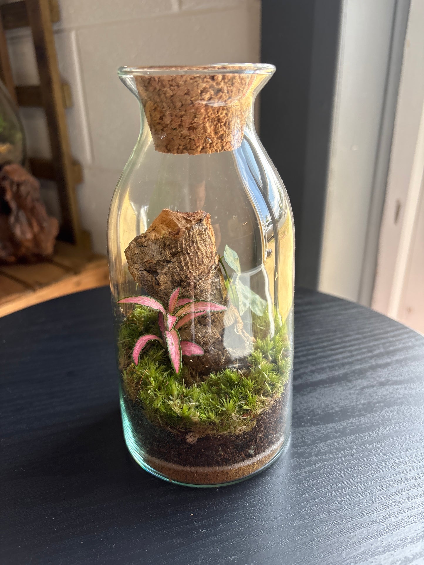 Ready-made Terrarium – Chloe Jar