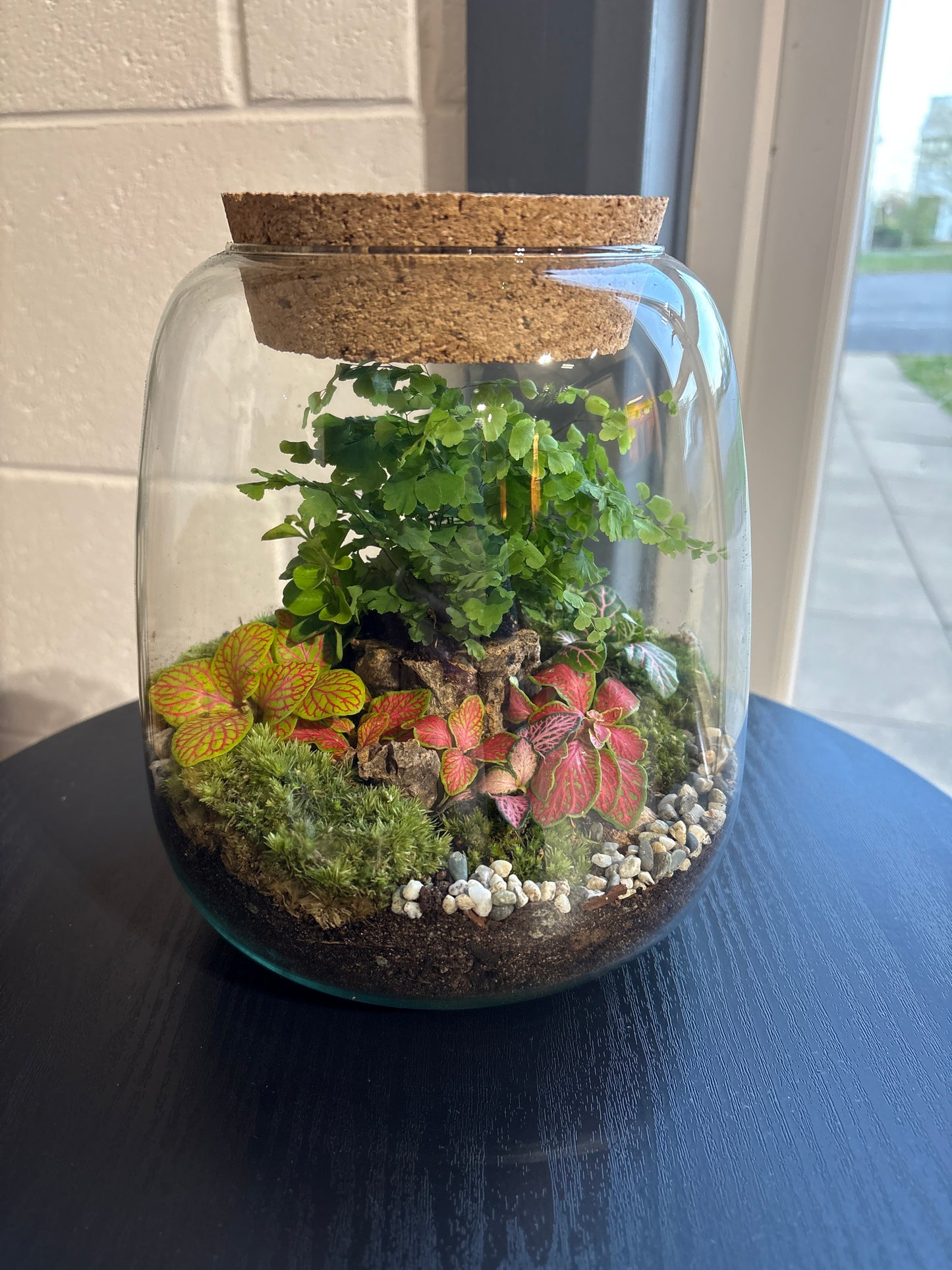 Ready-made Terrarium – Anna Jar