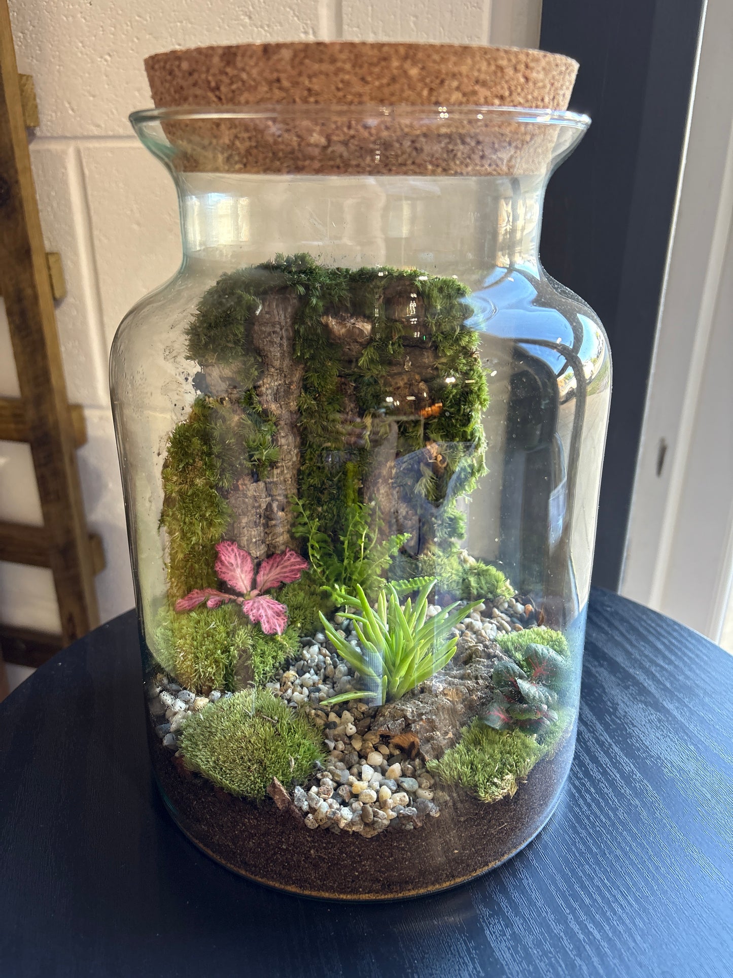 Ready-made Terrarium – Unique Jar