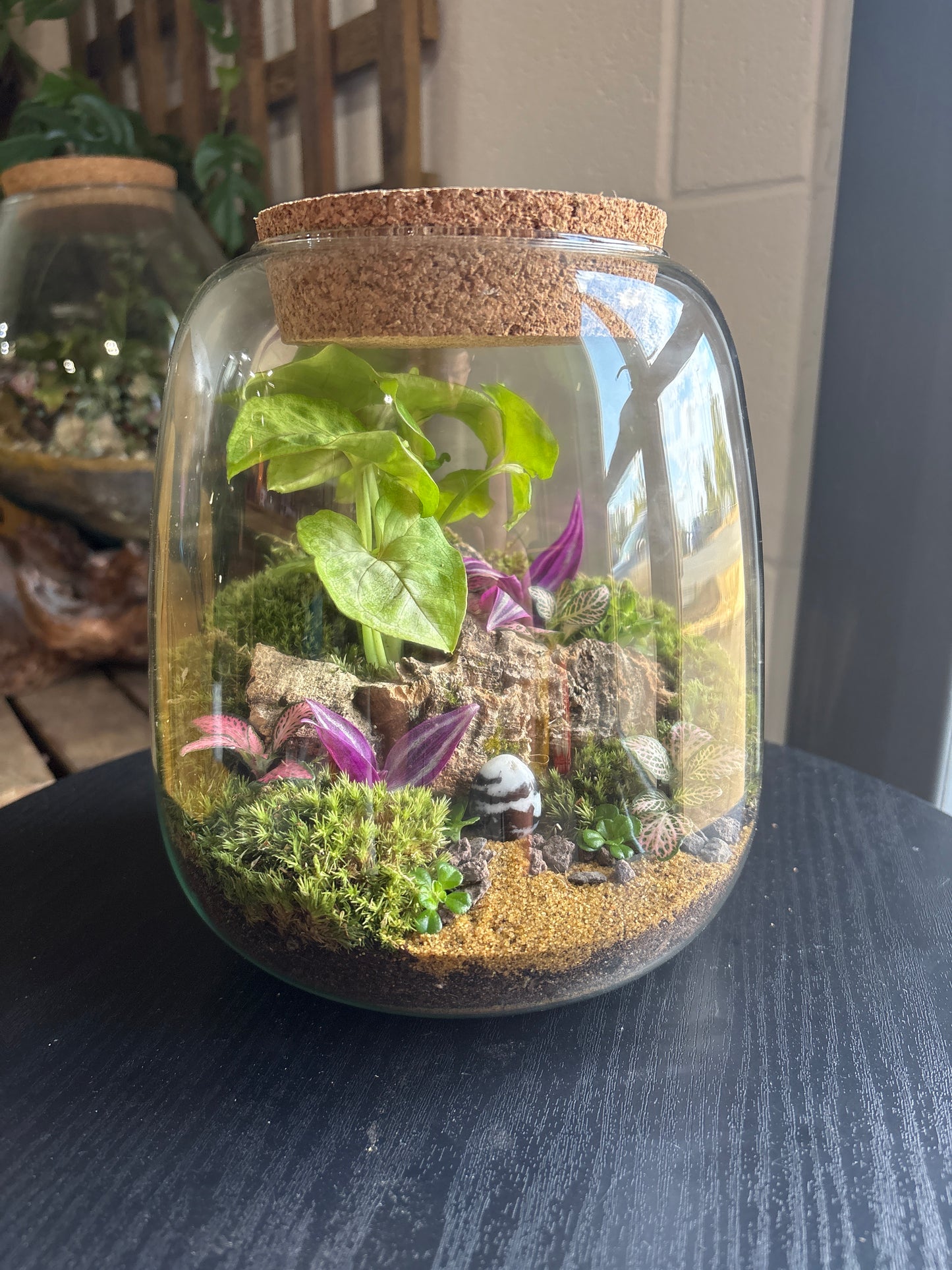 Ready-made Terrarium – Anna Jar