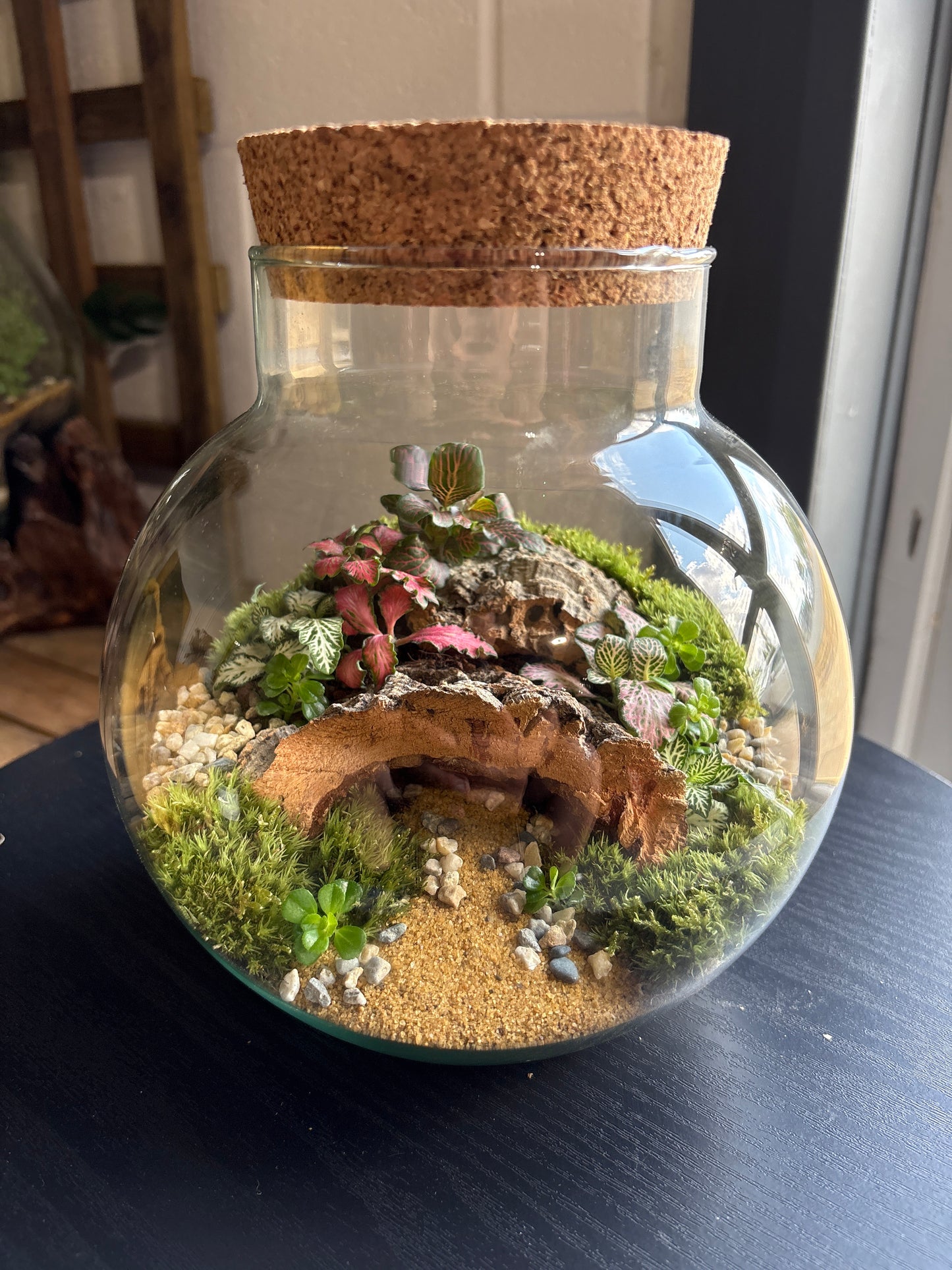 Ready-made Terrarium – George Jar