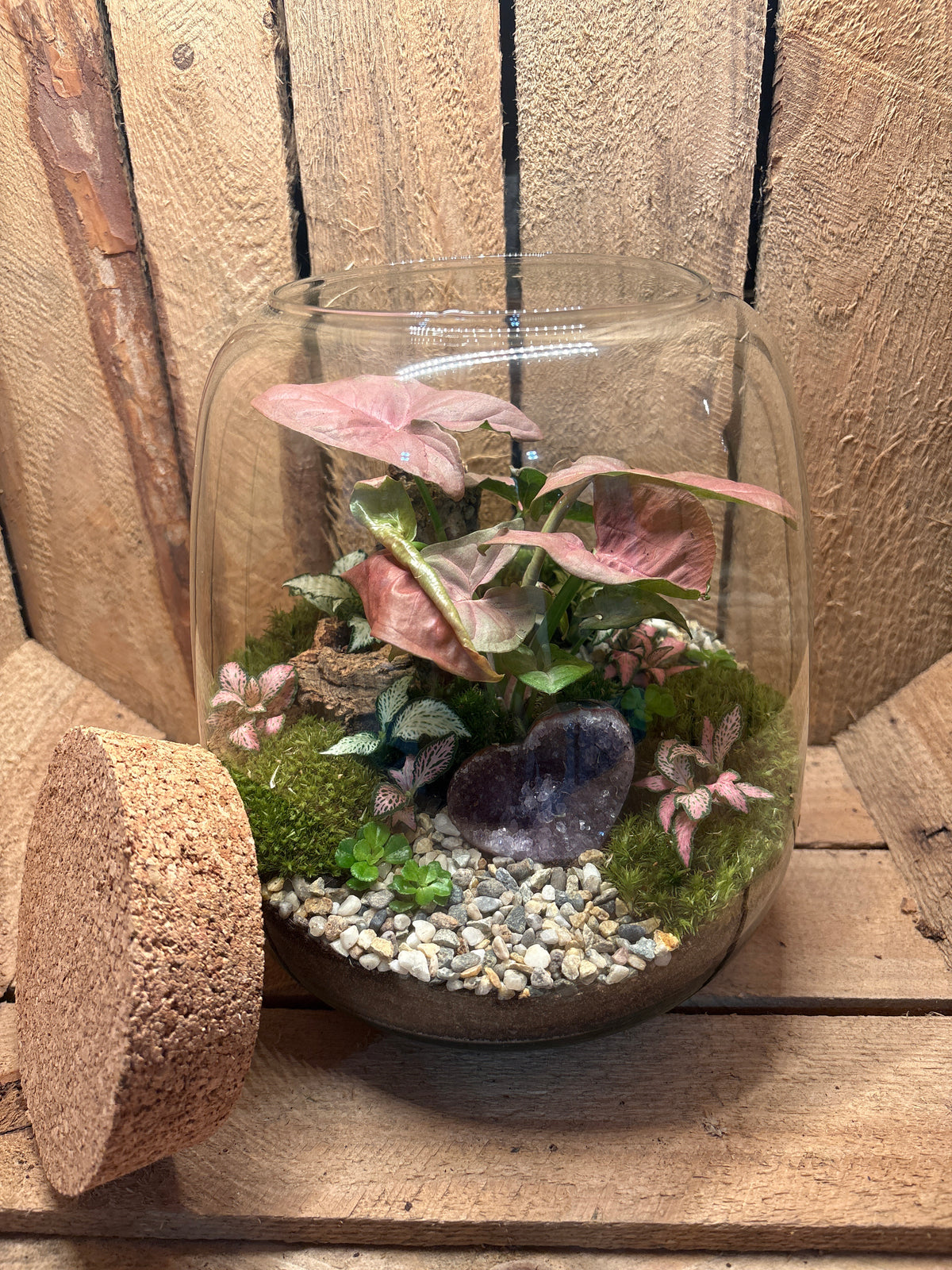 Ready-made Terrarium – Anna Jar