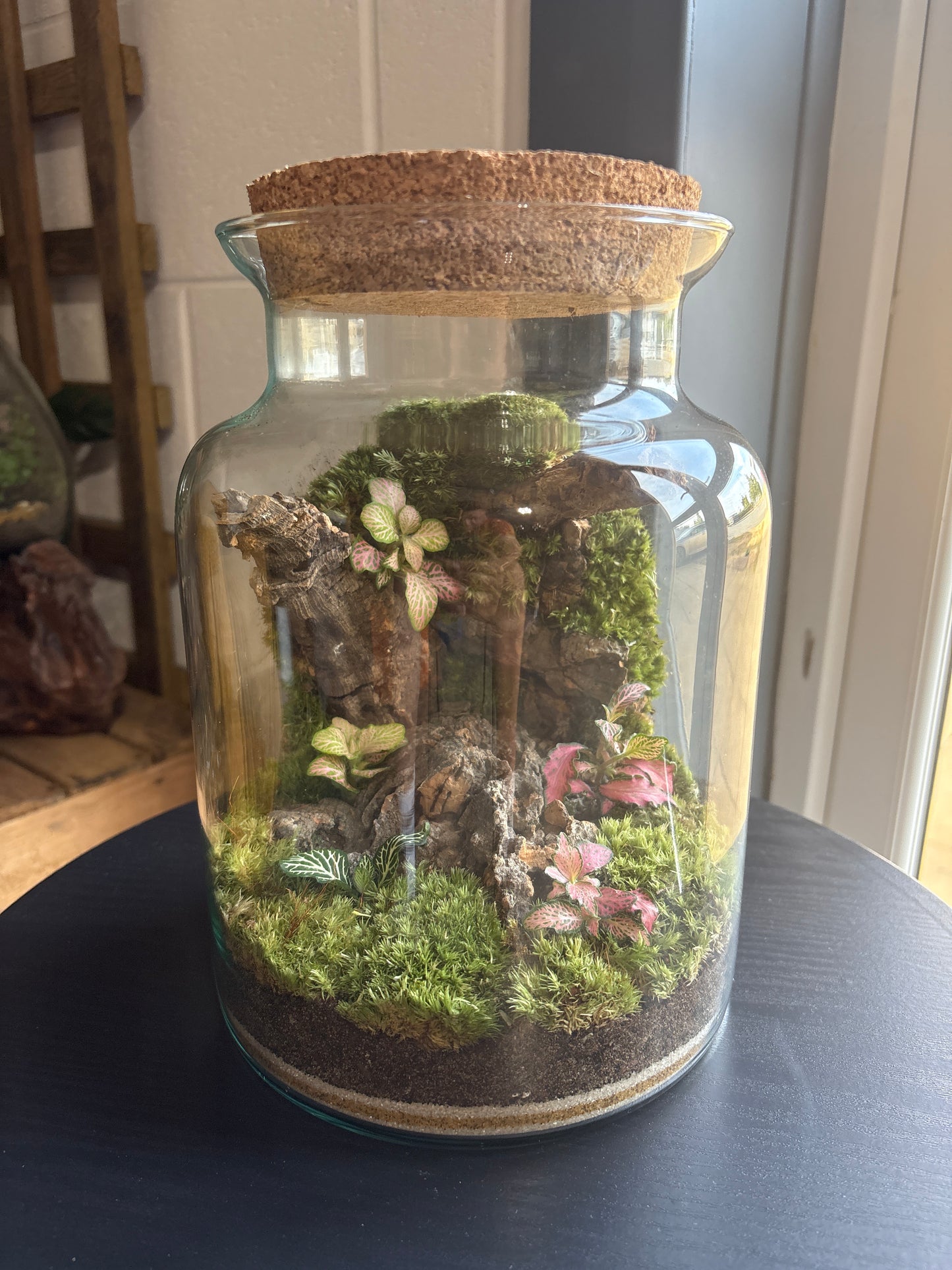 Ready-made Terrarium – Neev Jar