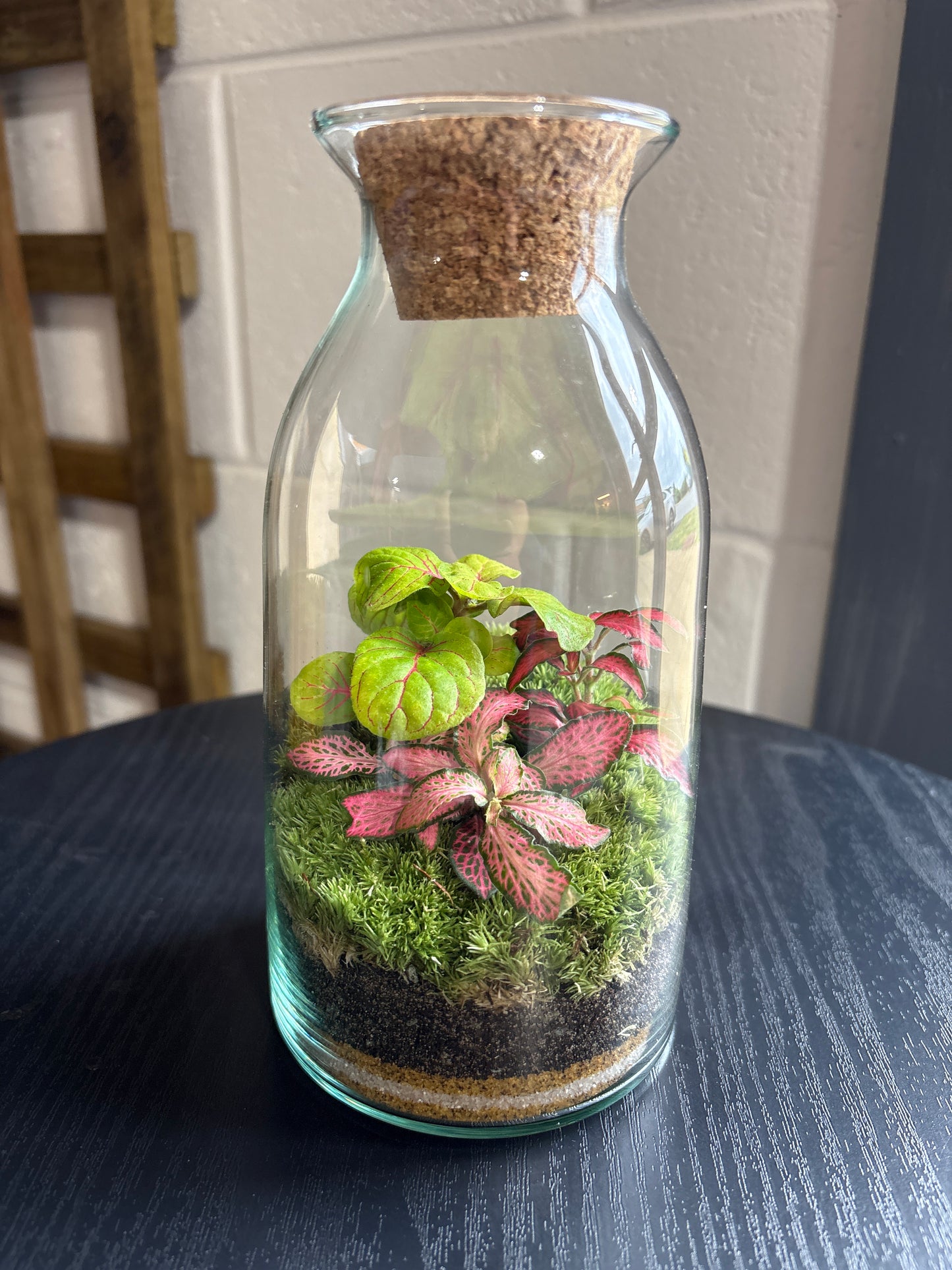 Ready-made Terrarium – Chloe Jar