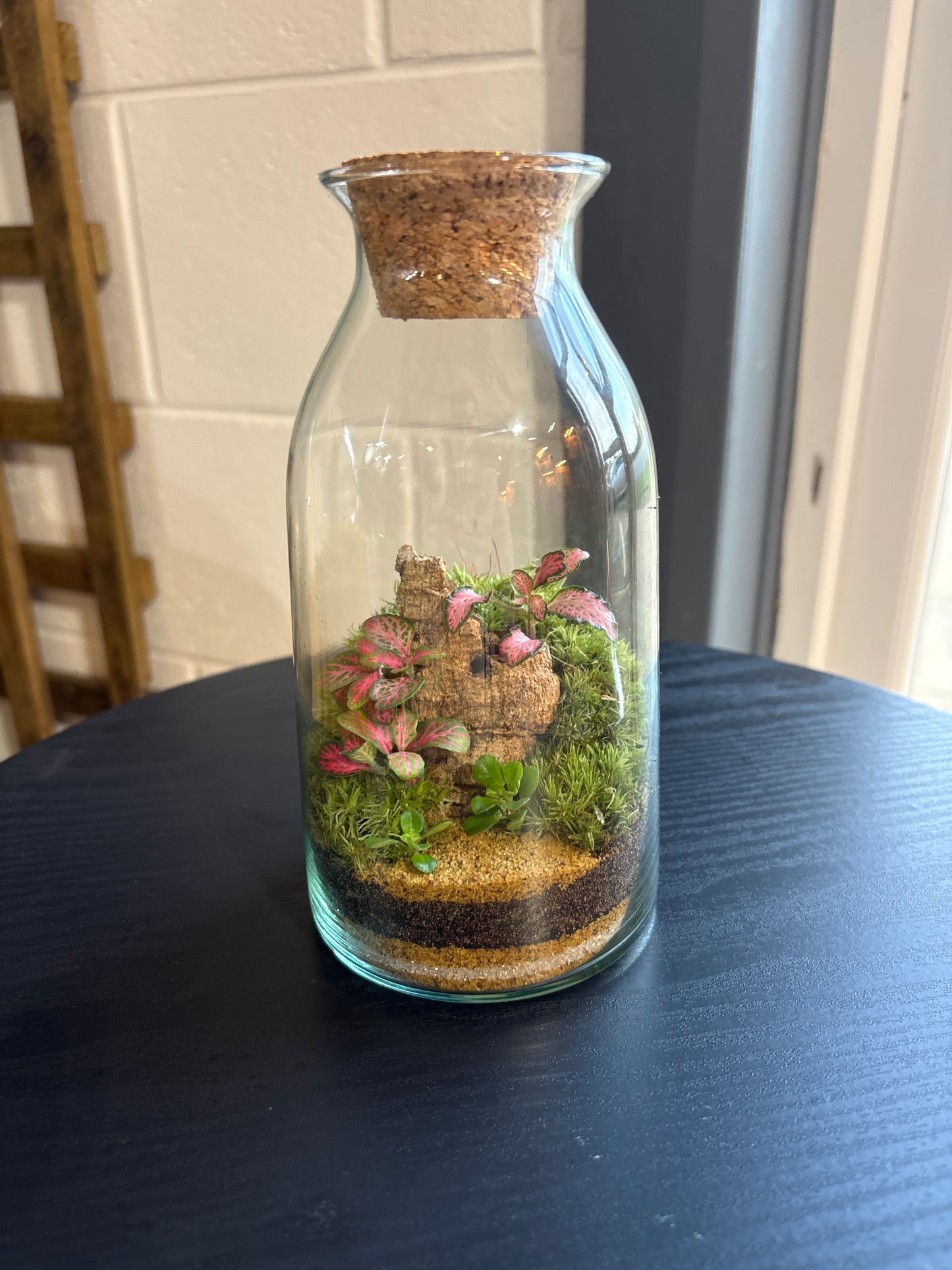 Ready-made Terrarium – Chloe Jar