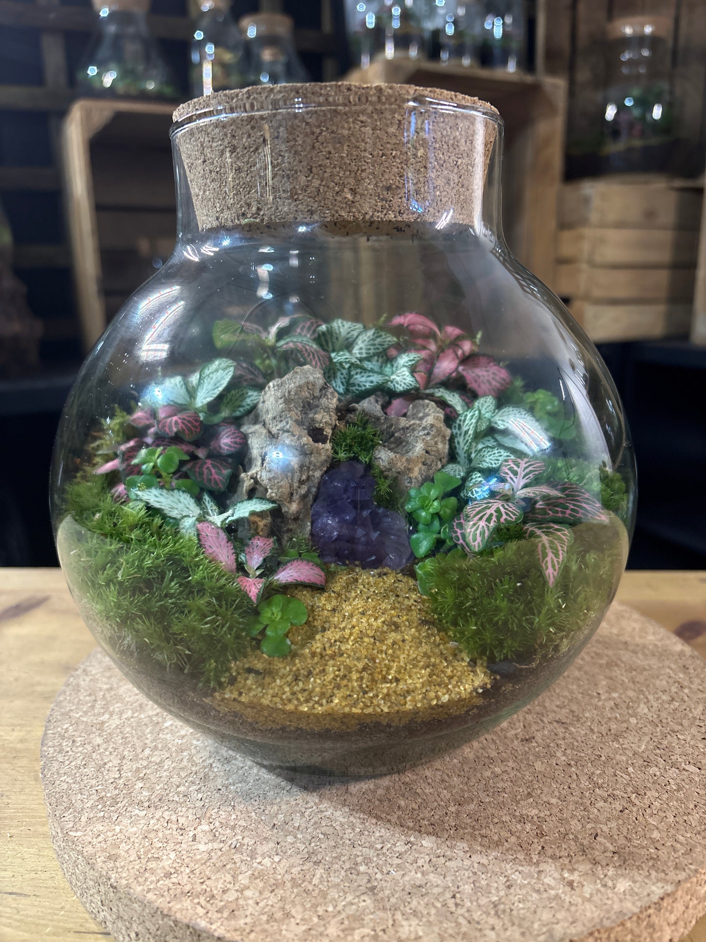 Ready-made Terrarium – George Jar