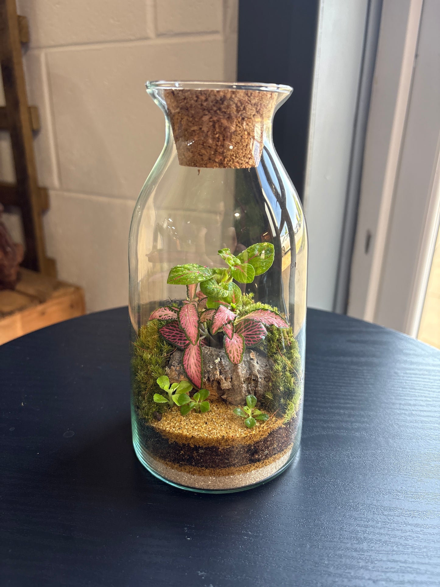 Ready-made Terrarium – Chloe Jar