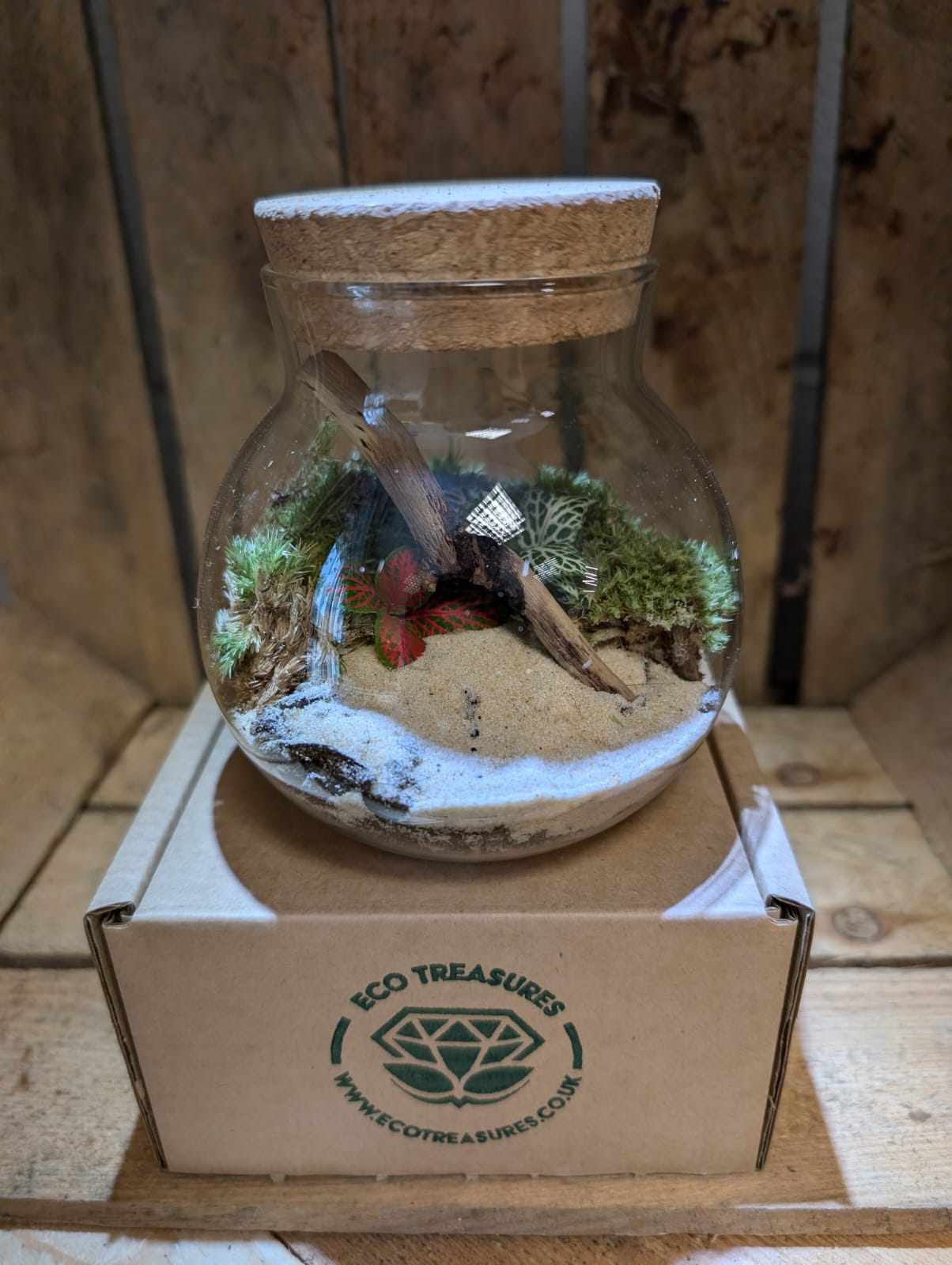 Small Ready-made Terrarium - 'Andrea'