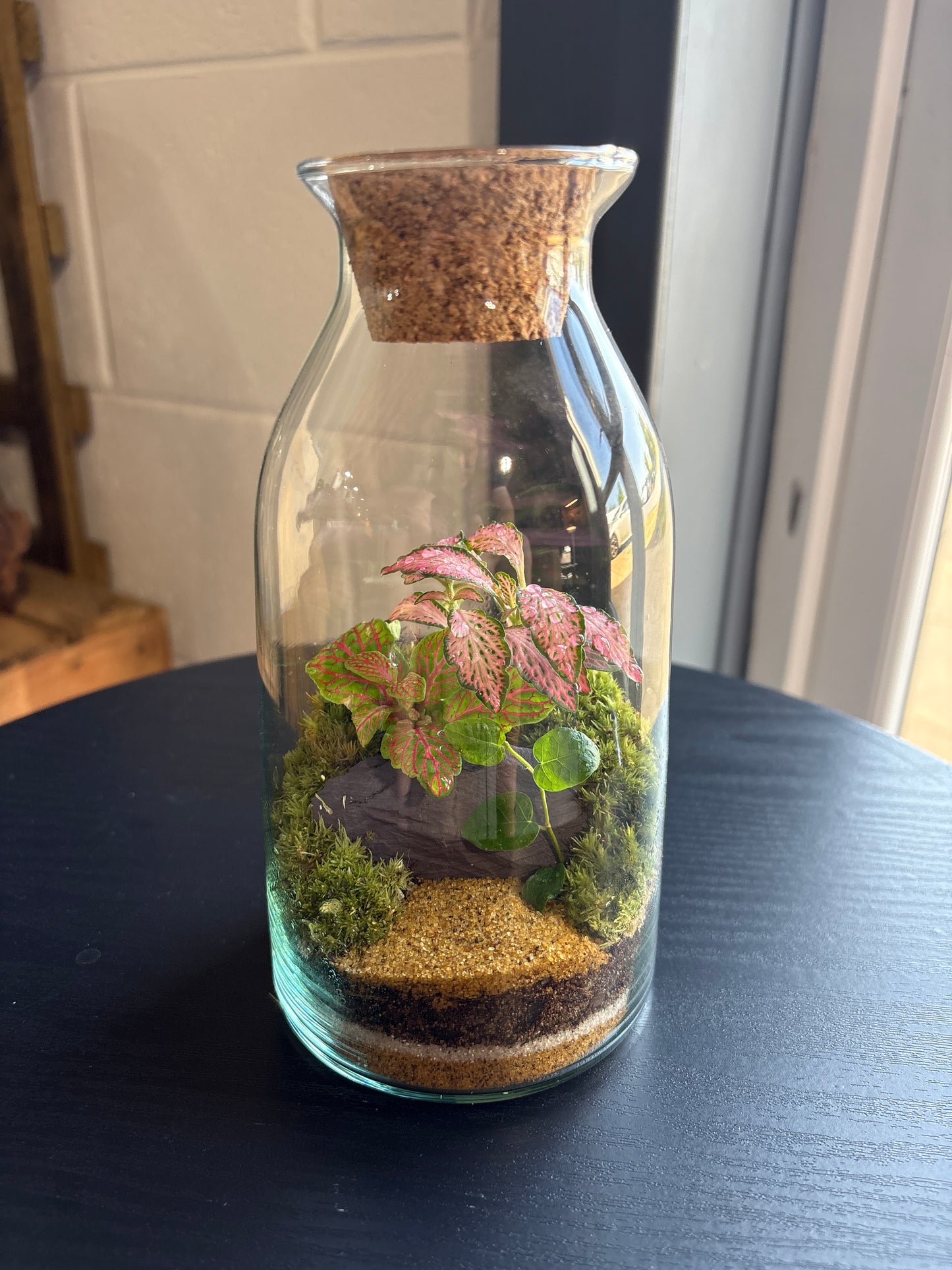 Ready-made Terrarium – Chloe Jar