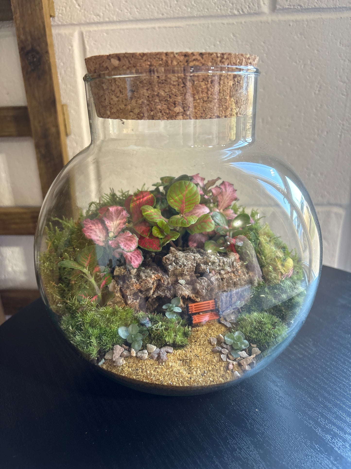 Ready-made Terrarium – George Jar