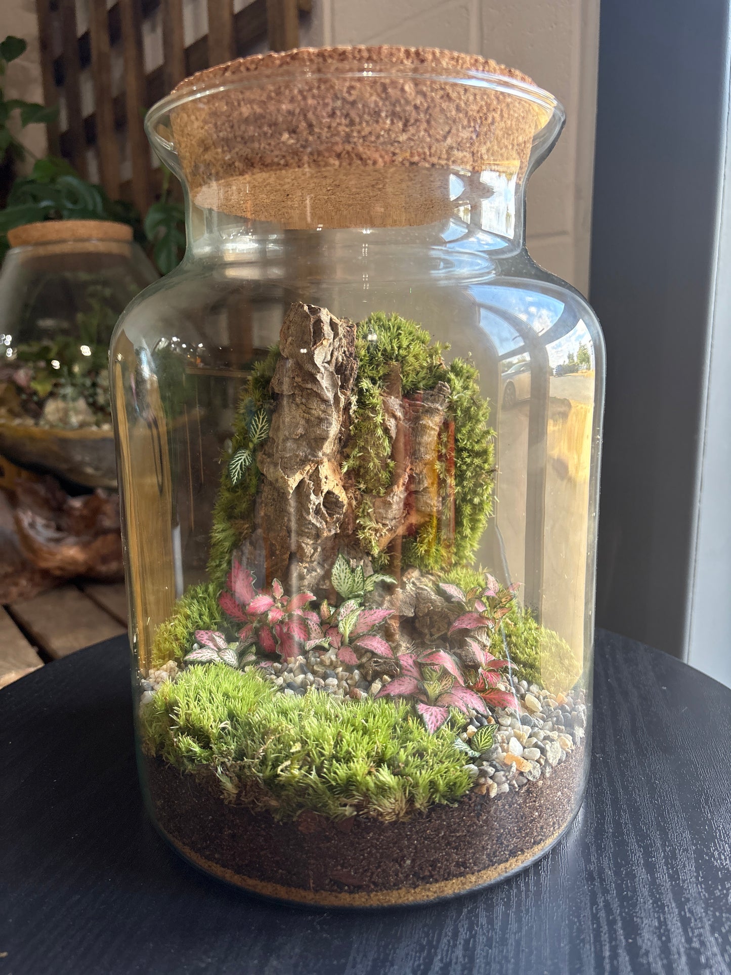 Ready-made Terrarium – Neev Jar