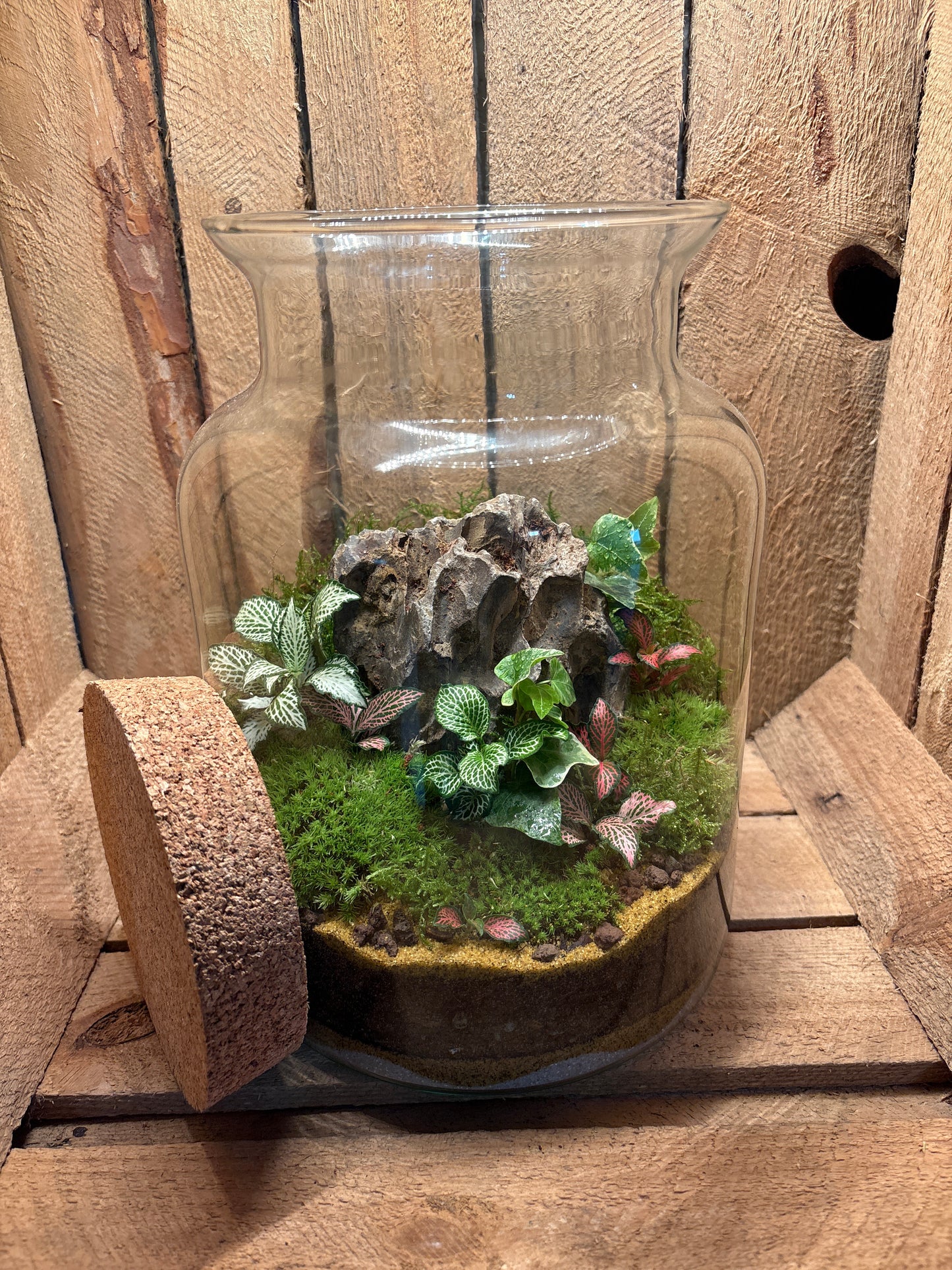 Ready-made Terrarium – Neev Jar