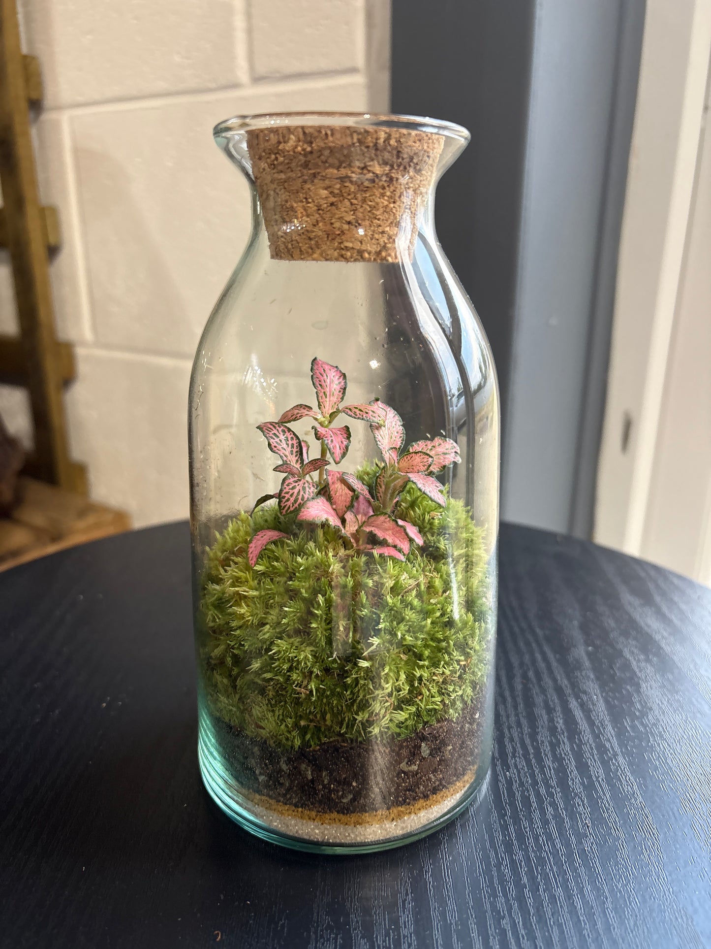 Ready-made Terrarium – Chloe Jar