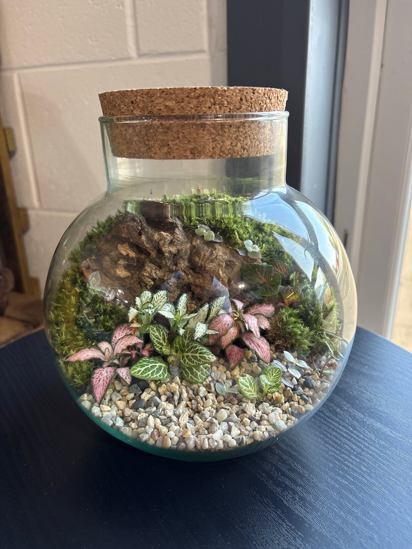 Ready-made Terrarium – George Jar